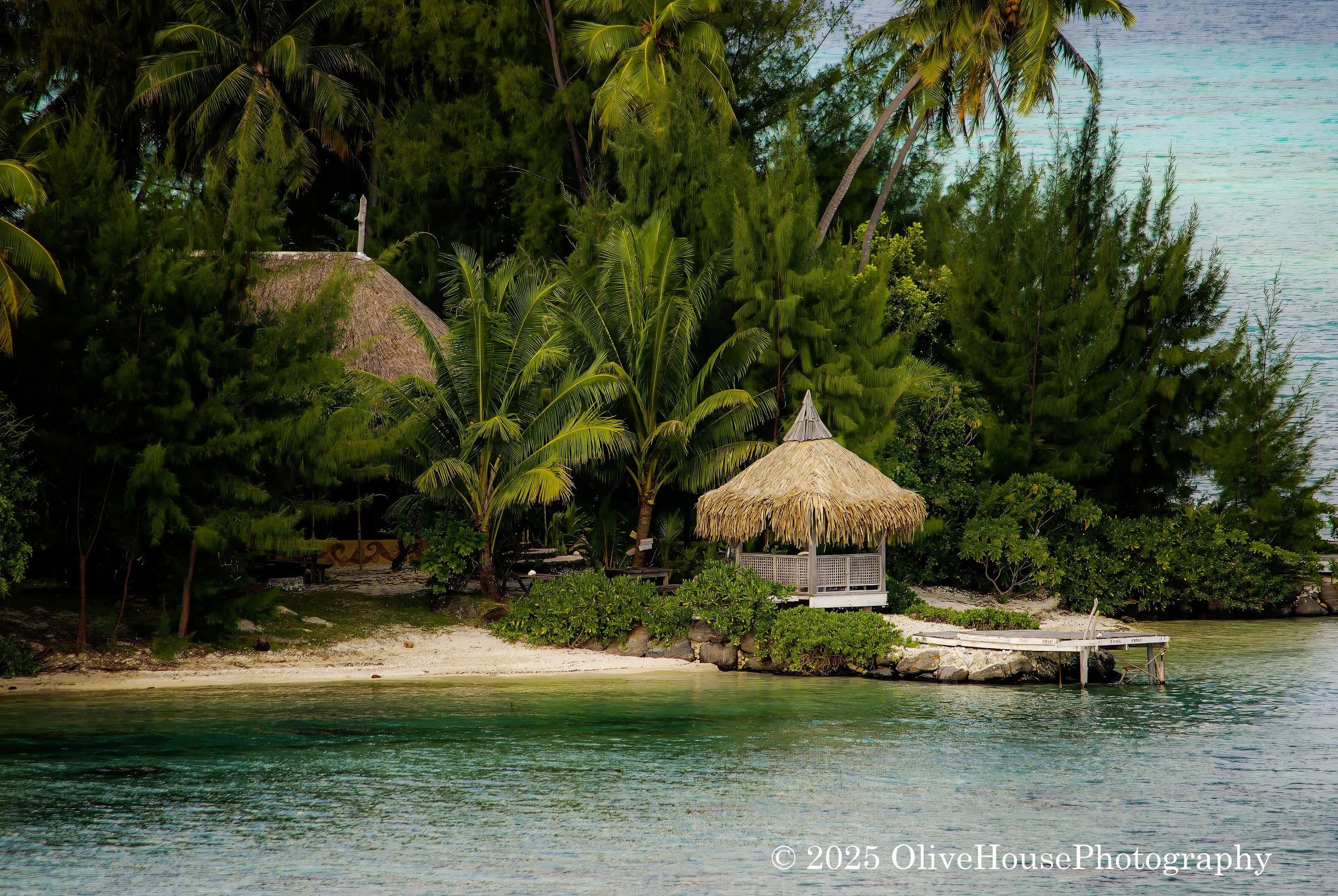 Thatch hut on South Pacific Island