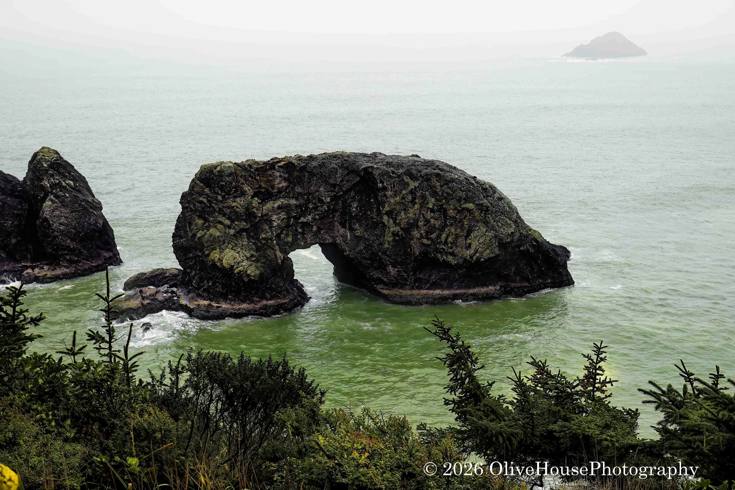 Arch Rock within the Samuel H. Boardman State Scenic Corridor along the southern Oregon Coast. 