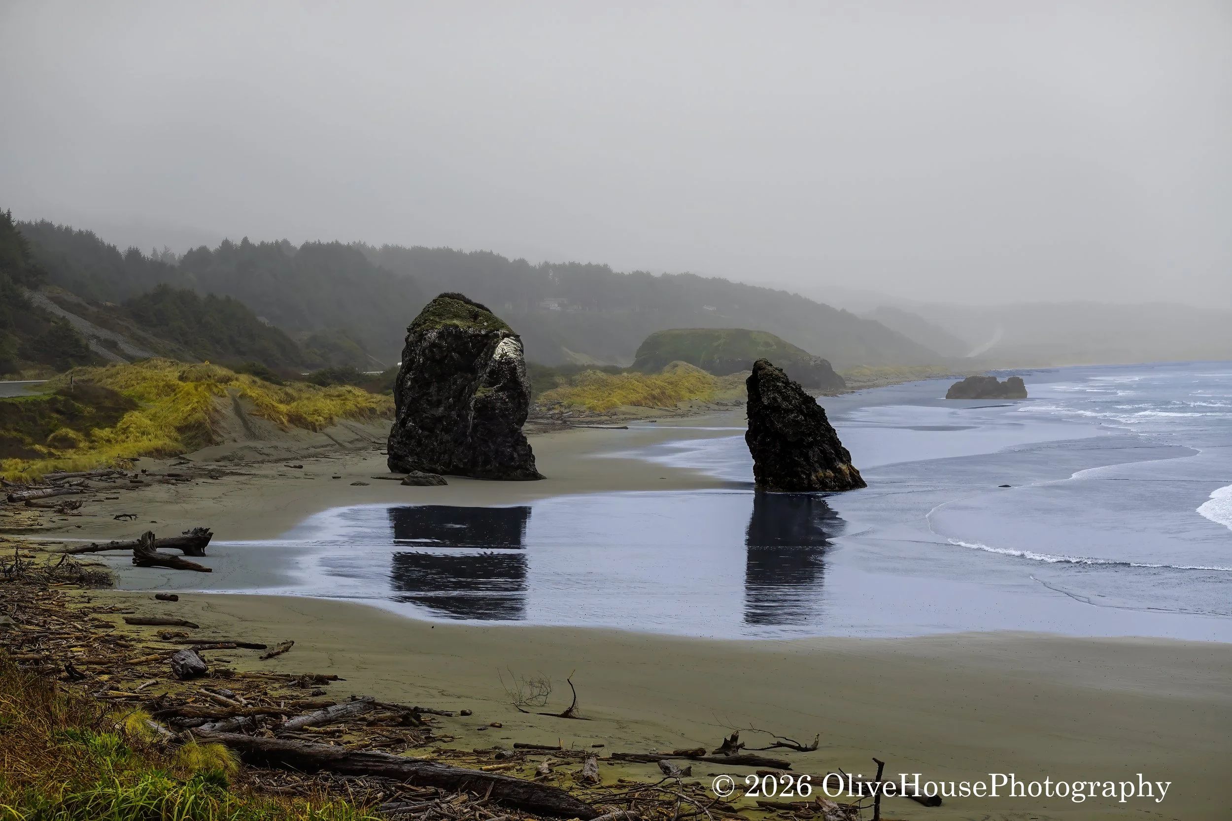 Sea stacks at Harris Beach State Park in Oregon.