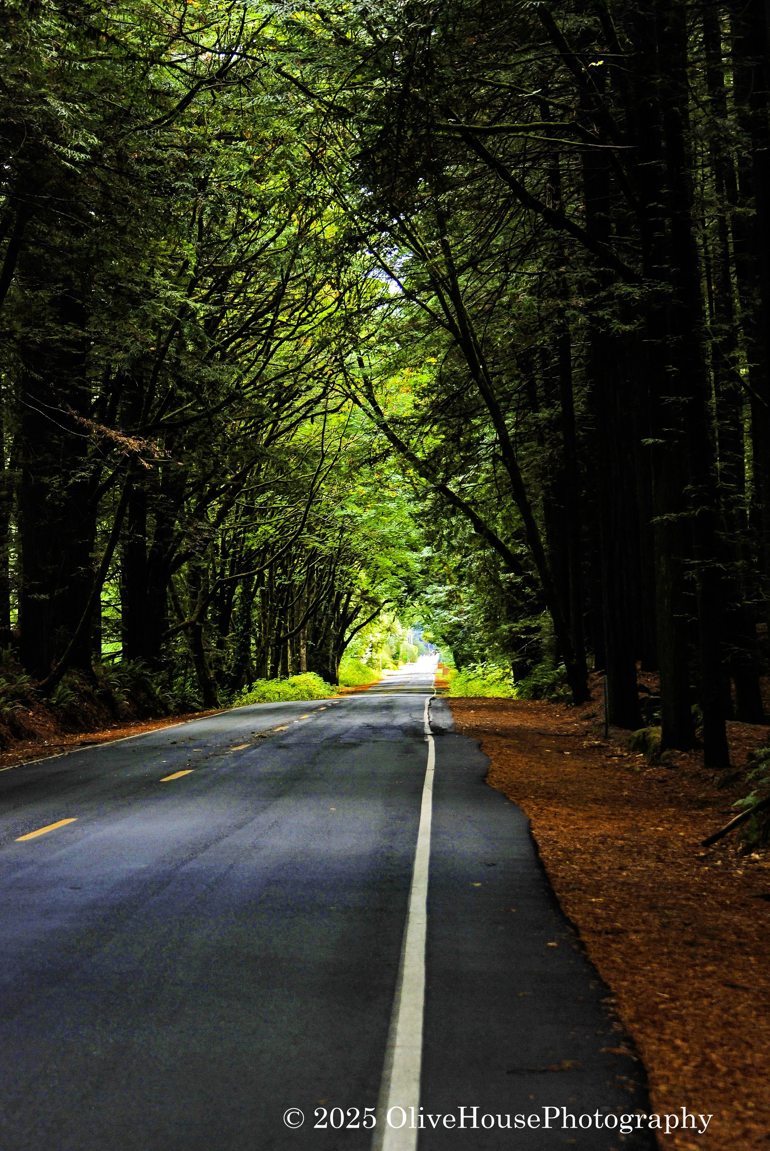 Latest Travel Photos