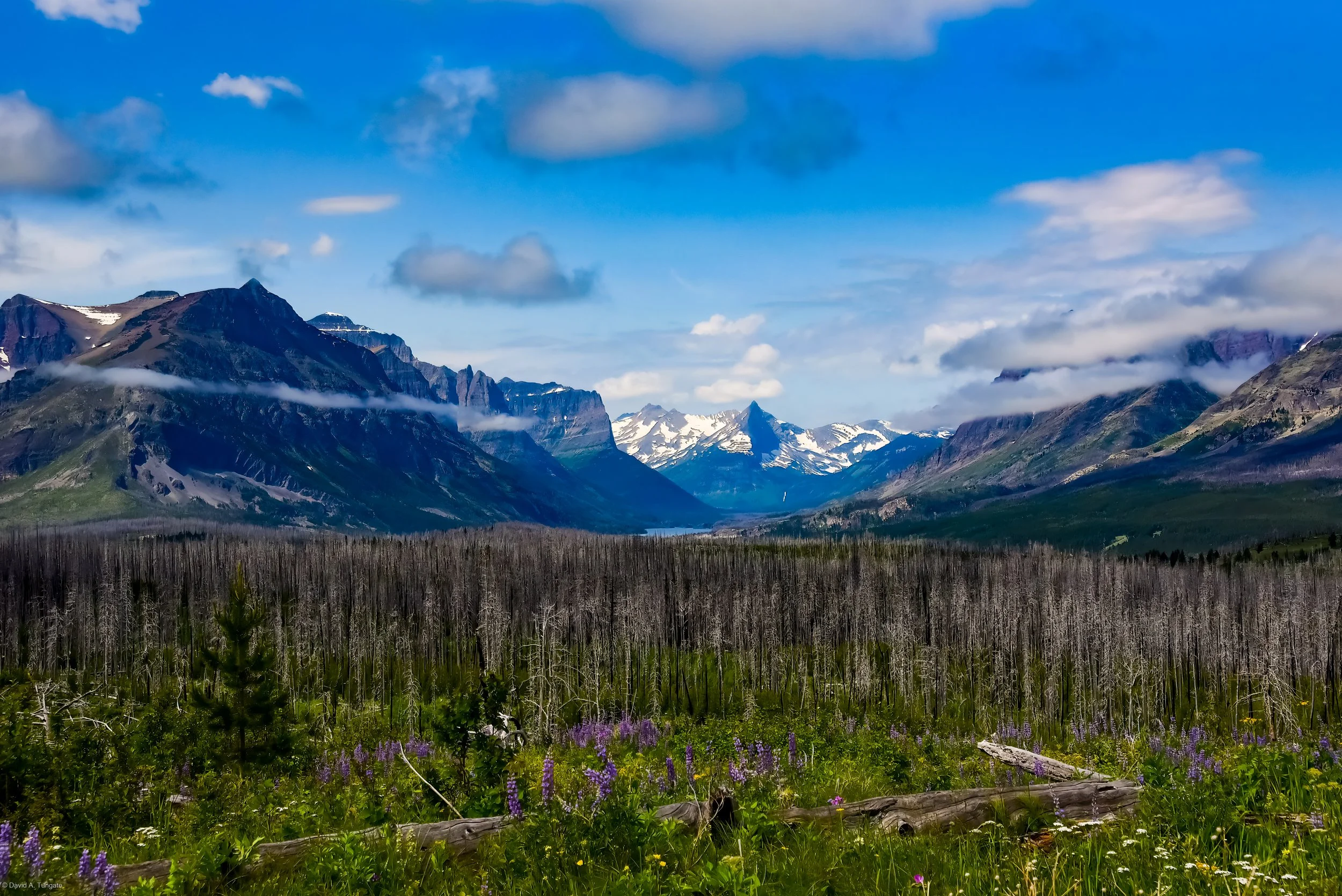 Alaska, Canada, Montana  July 02, 2019  03842.jpg