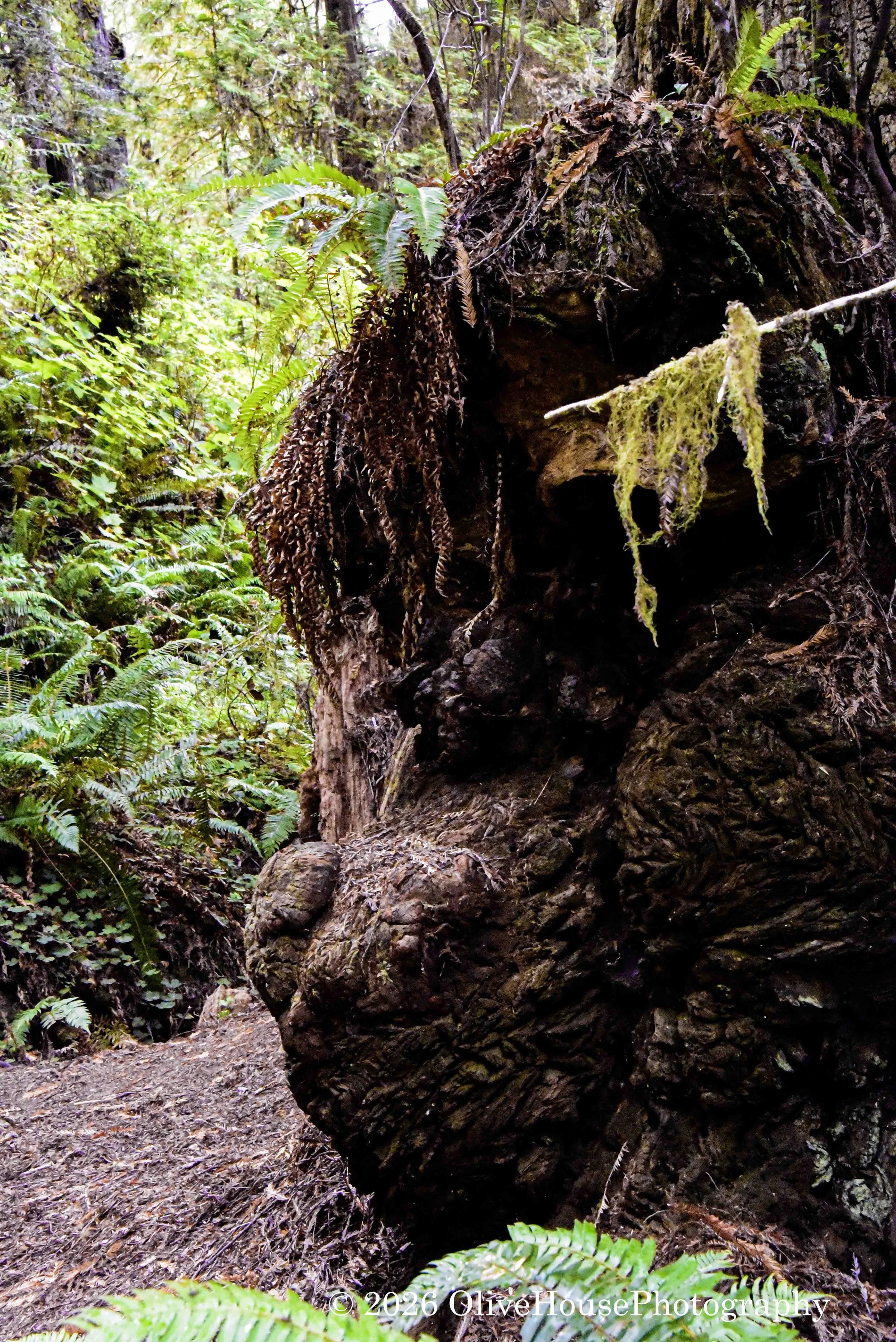 September 17, 2020 Time 1