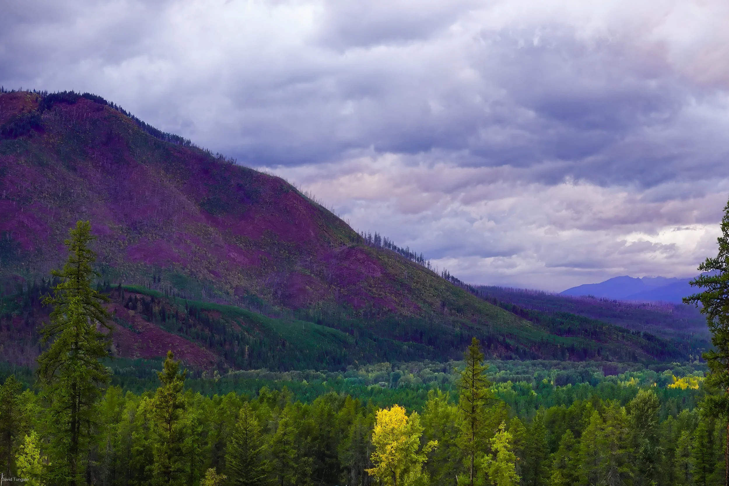 September 24, 2020 Time 1