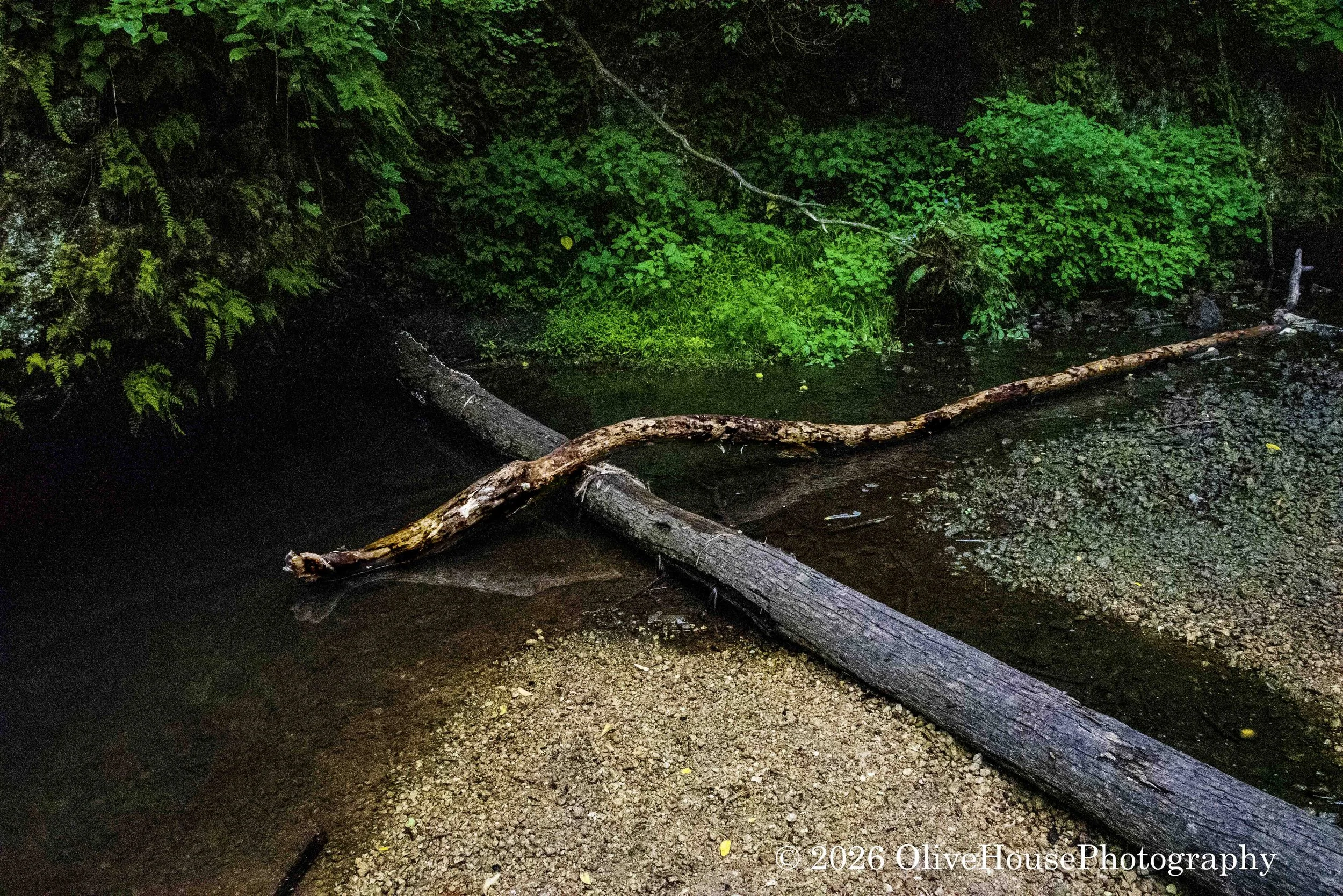 August 03, 2022   Hour-10 Minute-12    05522.jpg