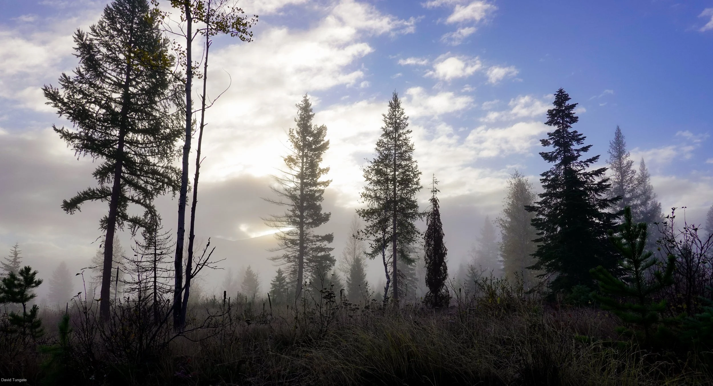 September 27, 2020 Time 0