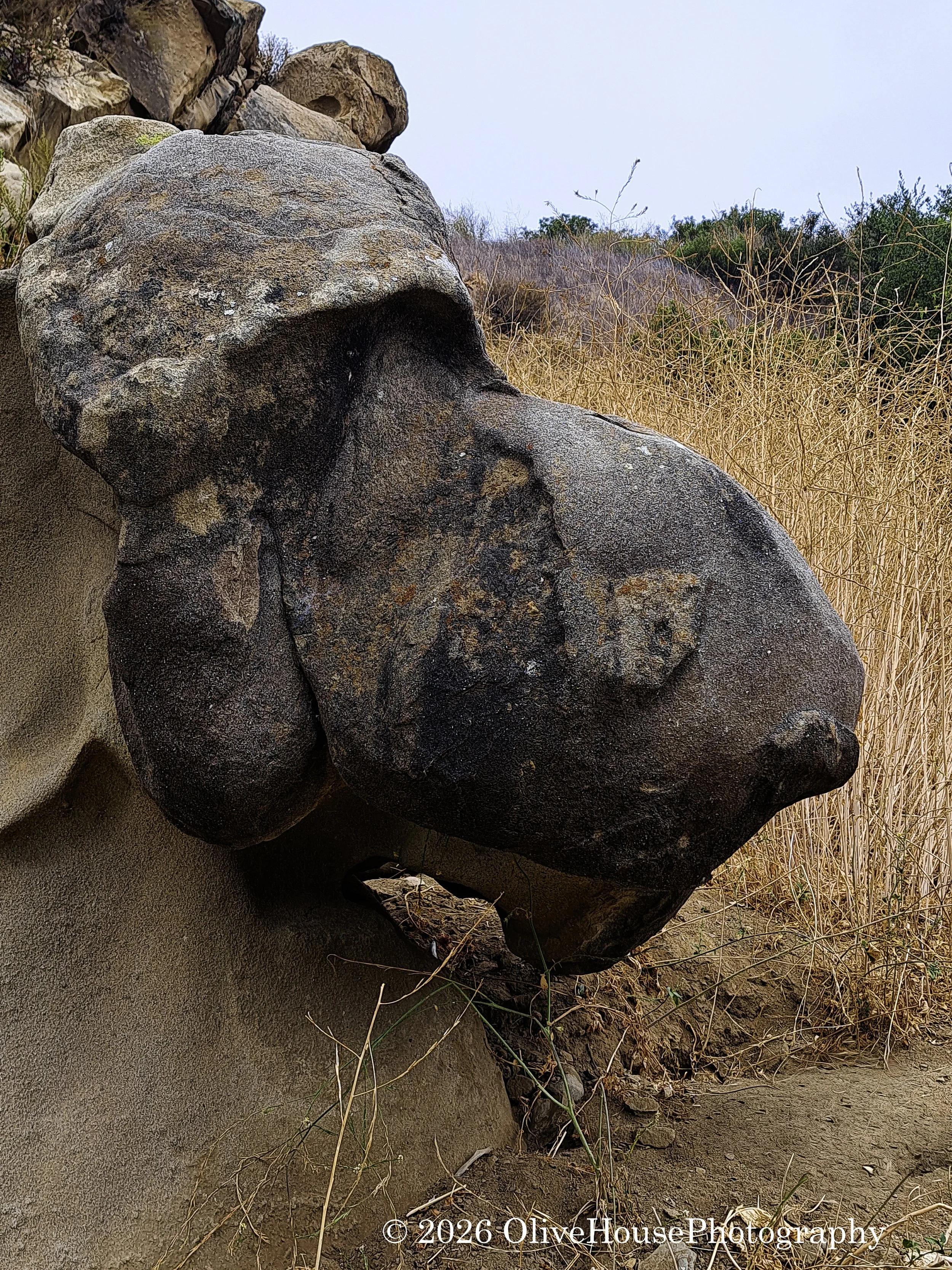 July 07, 2025   00078.jpg