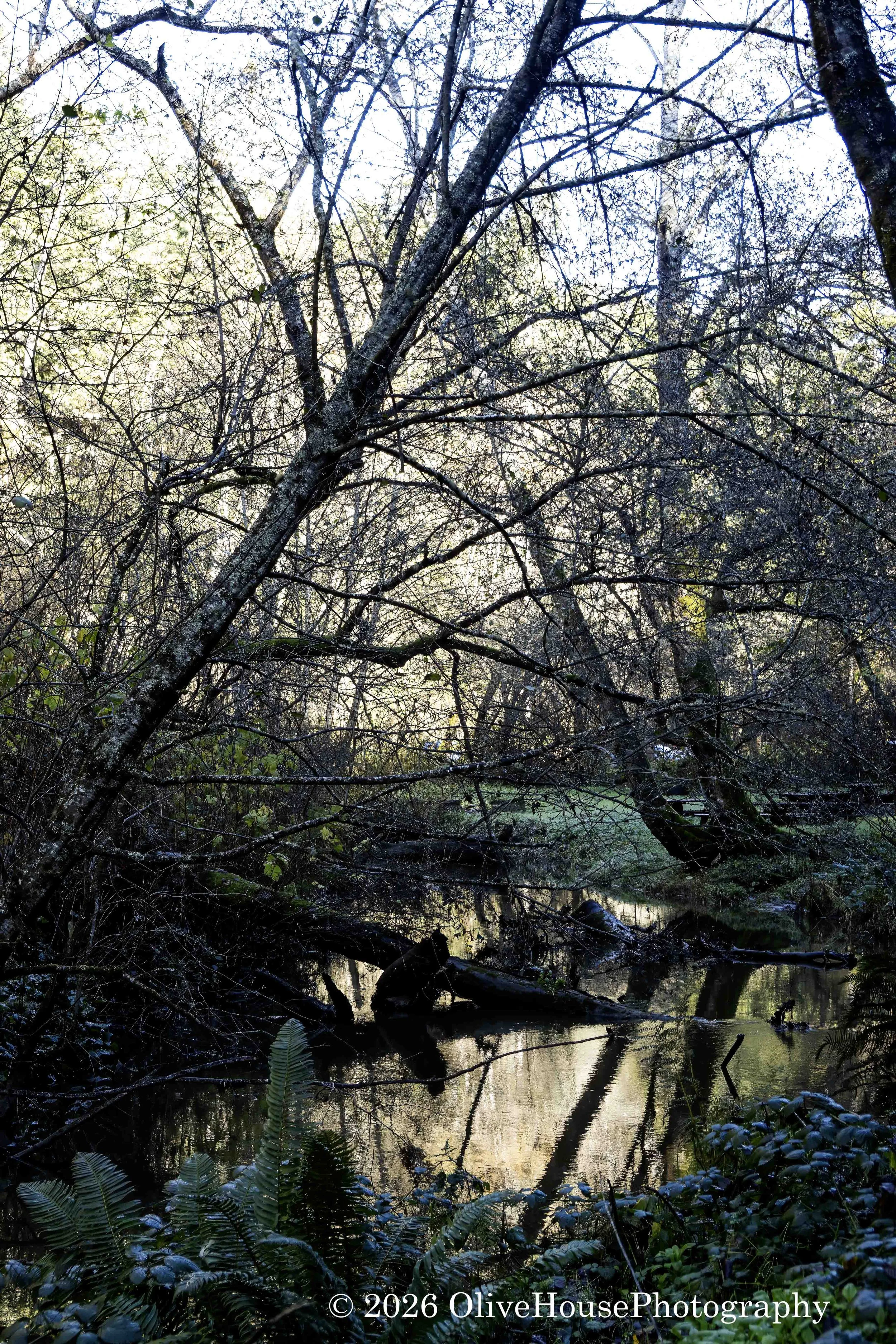 Russian Gulch State Park, CA