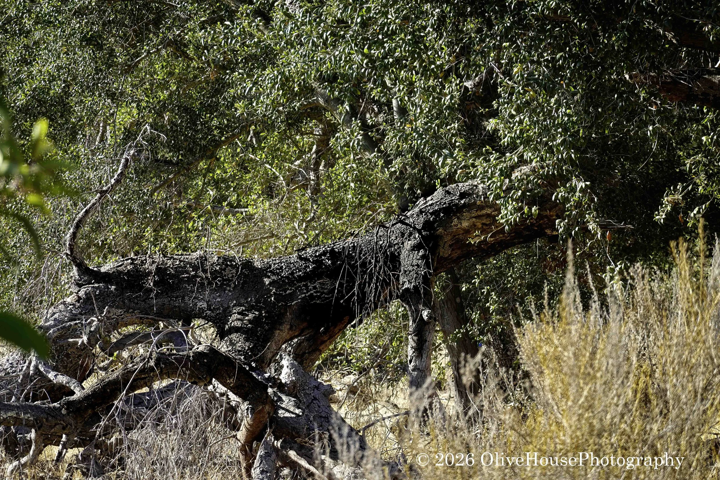 September 11, 2021  0