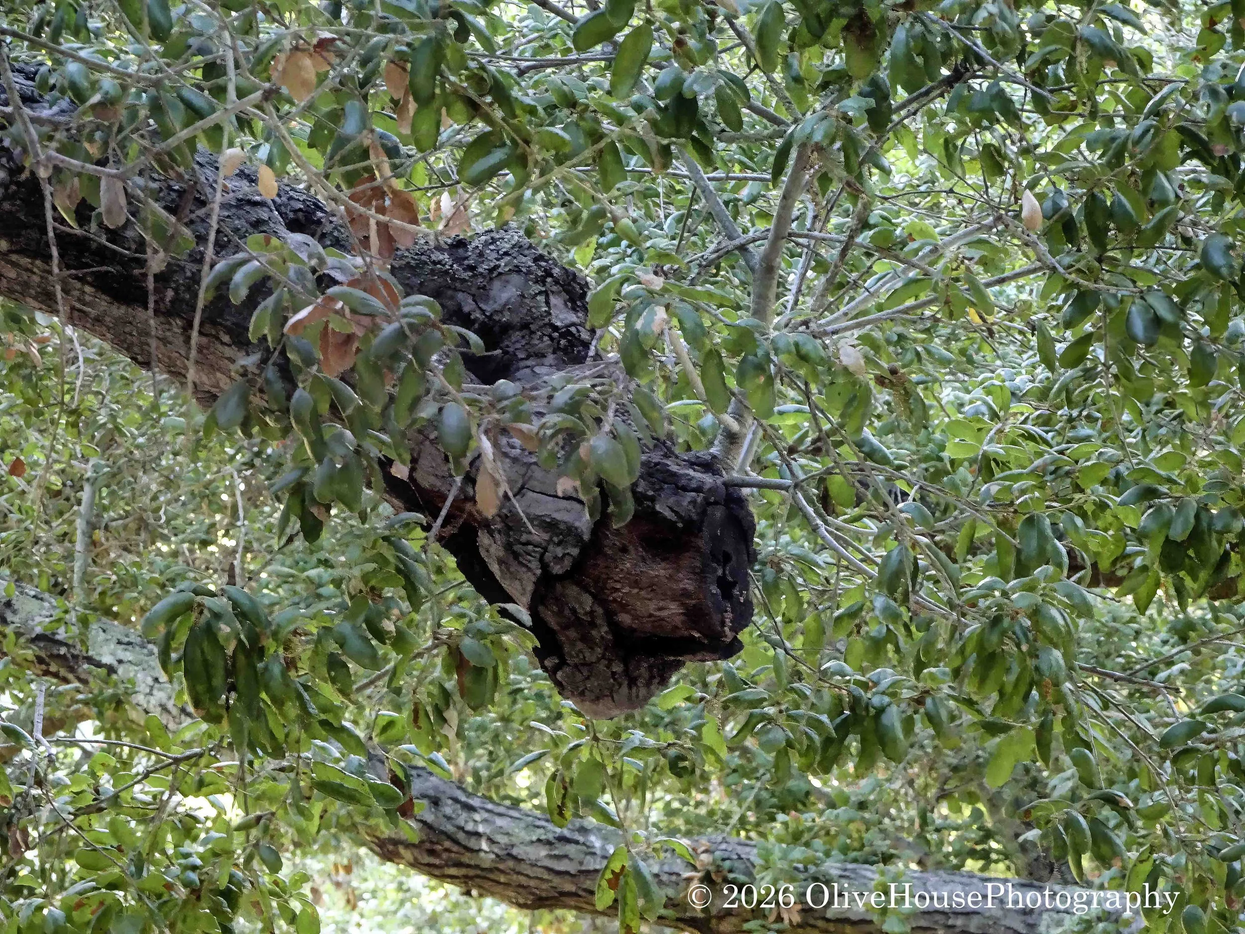 October 03, 2024 Time 0