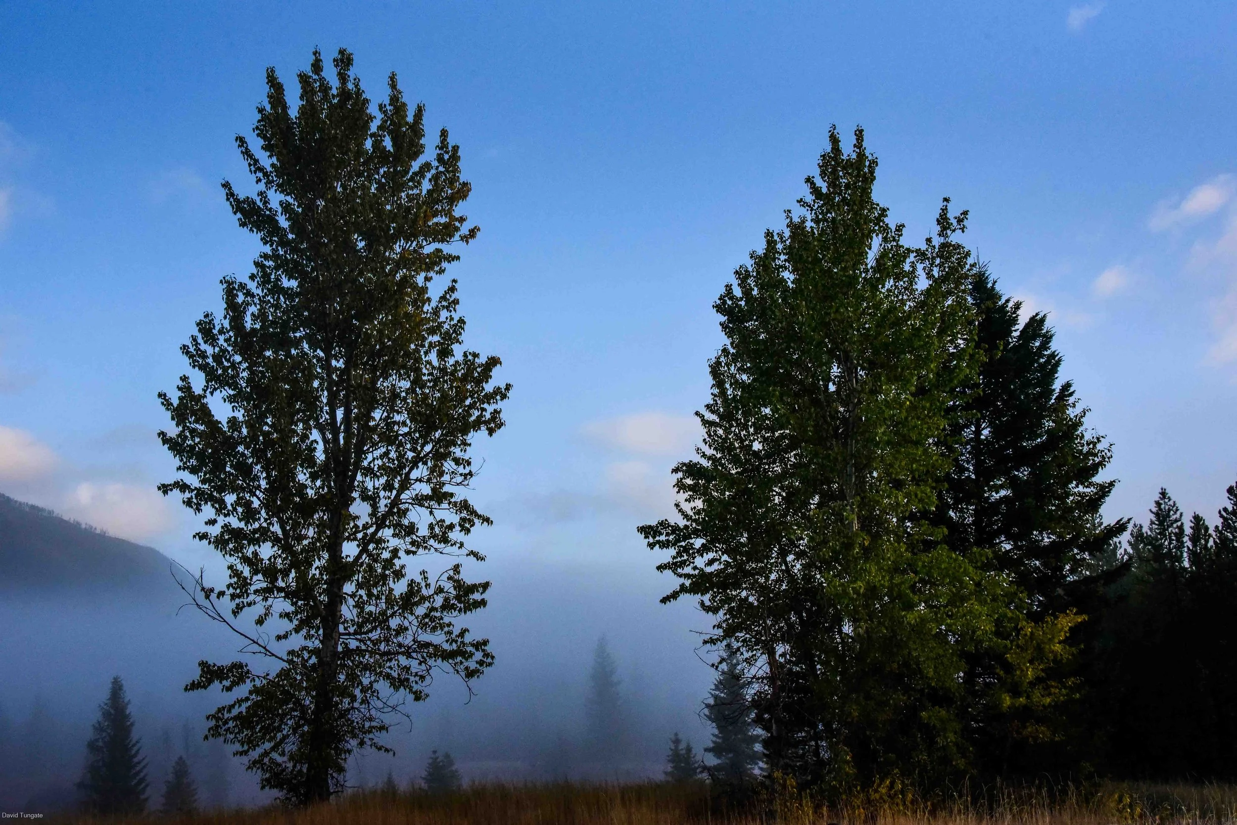 September 27, 2020 Time 0