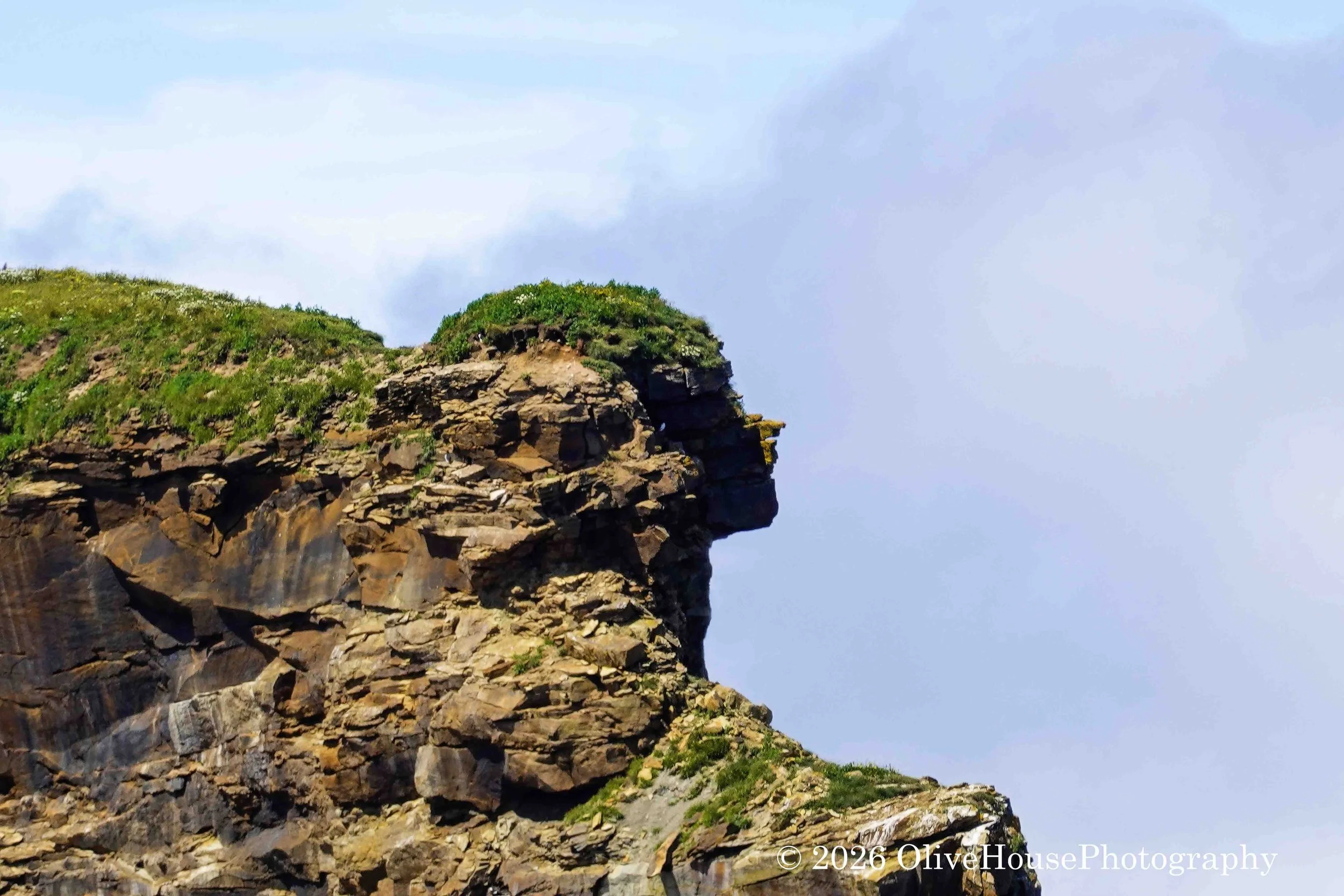 July 19, 2023 Sidney, Nova Scotia 0123-Edit.jpg