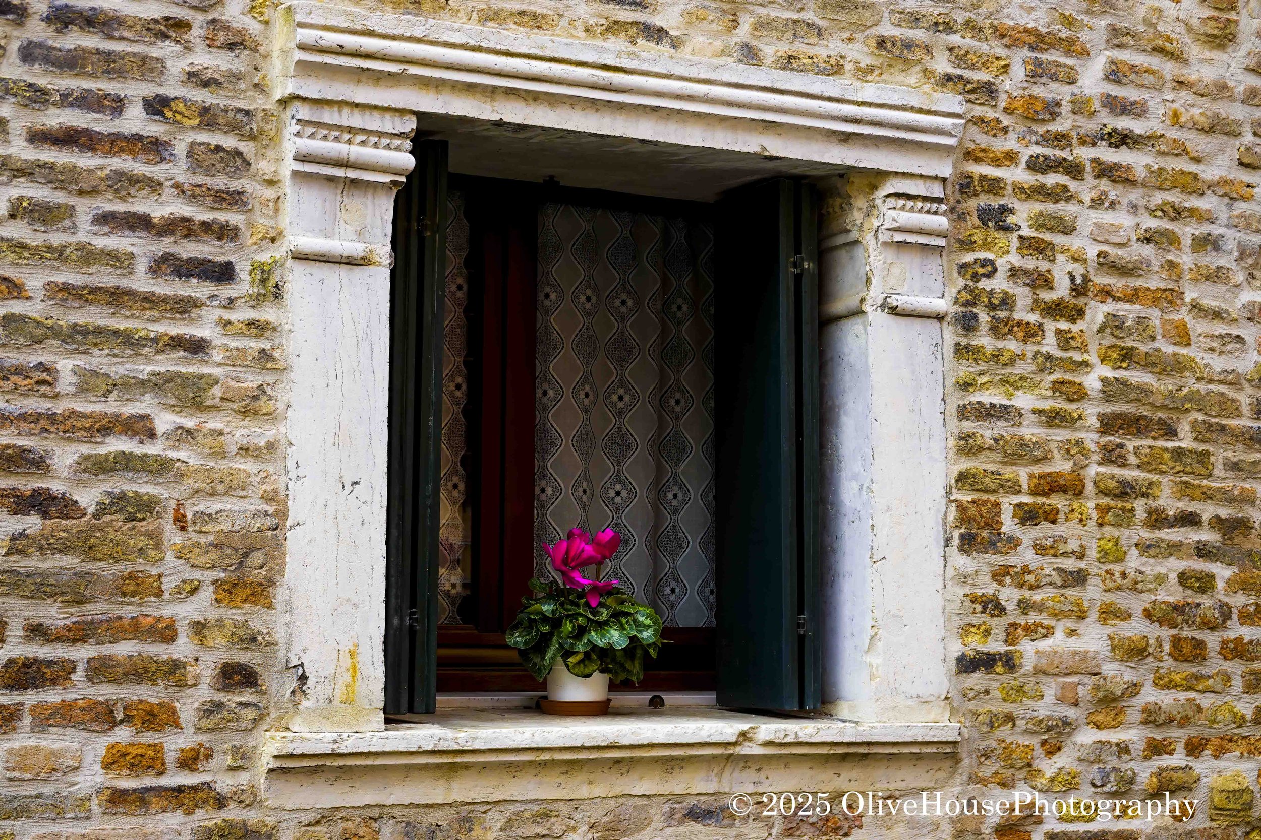 Cyclamen in window on canal in Venice, Italy.