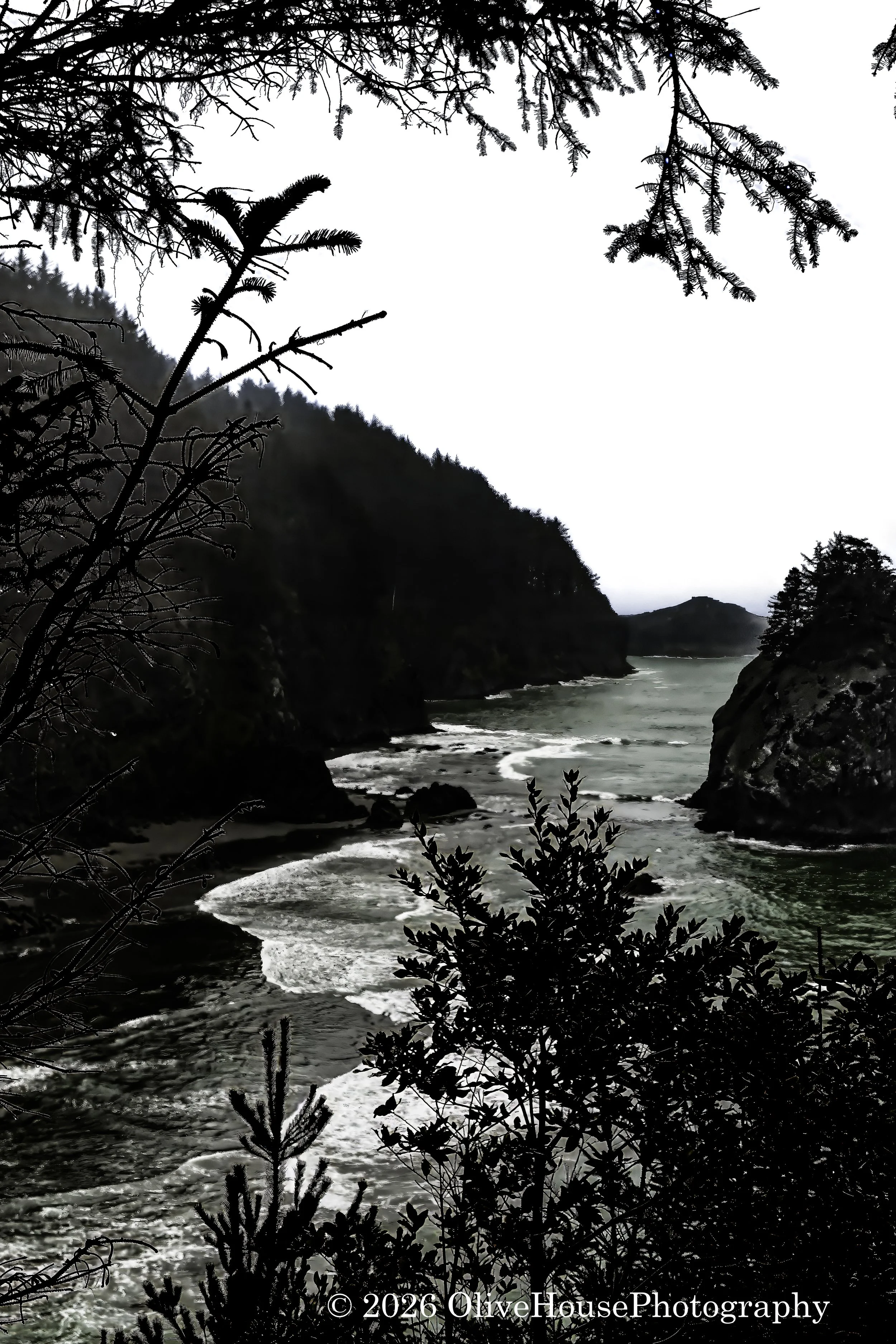 Arch Rock in the Samuel H. Boardman Scenic Corridor, Oregon. 