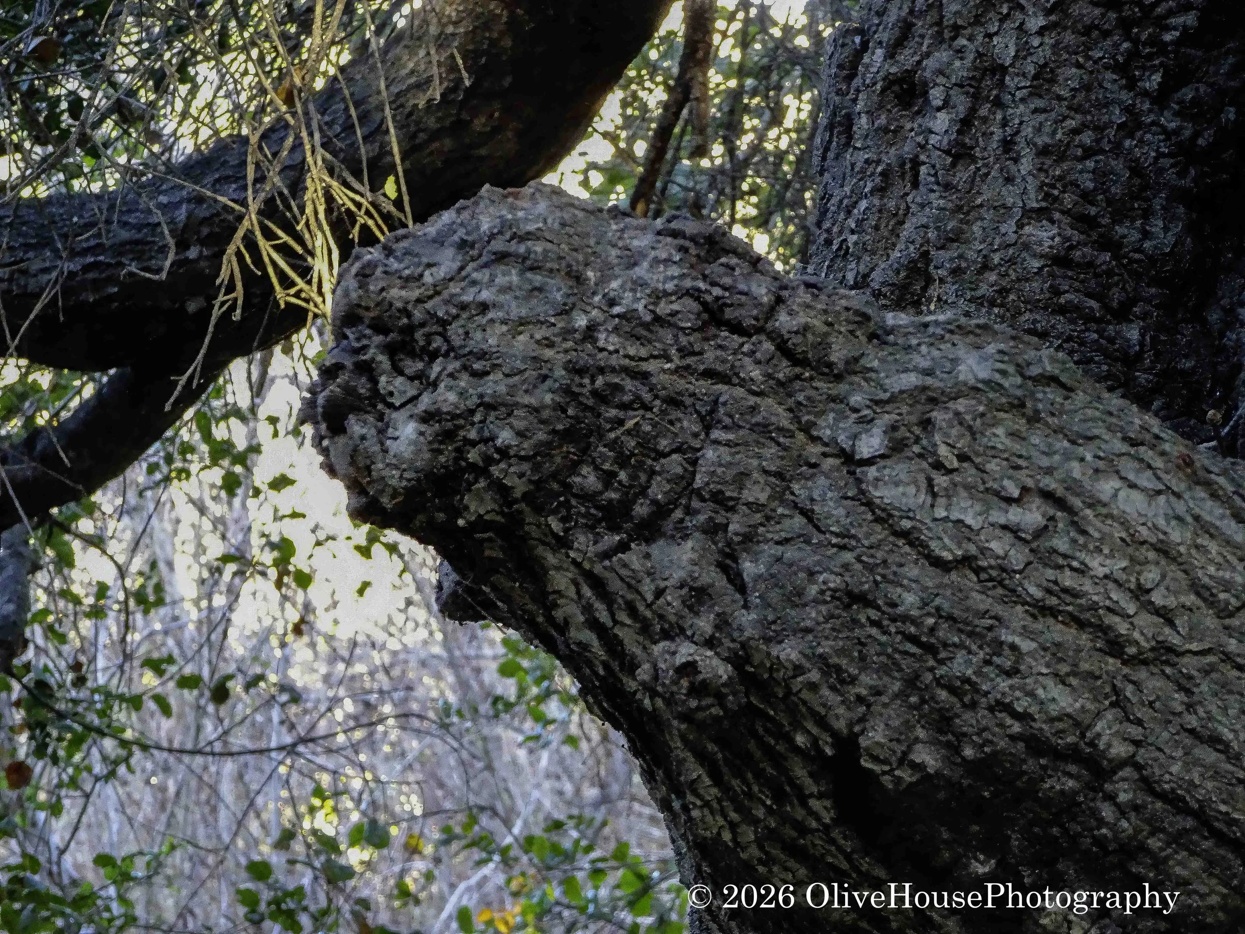 December 15, 2023 Time 0