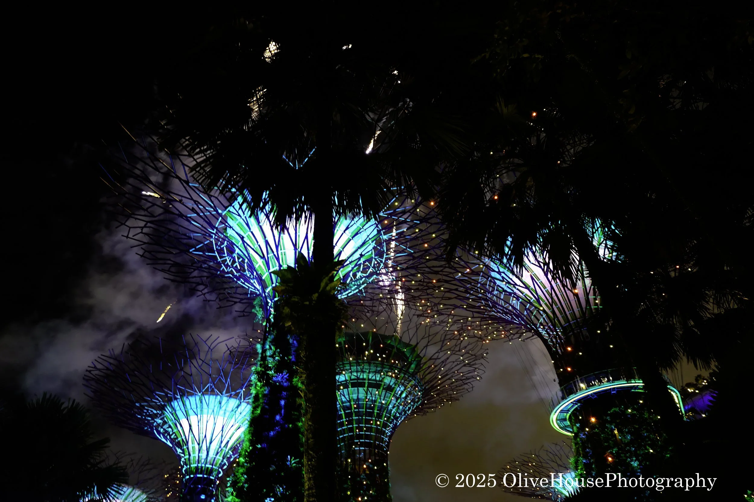 Singapore Gardens by the Bay lightshow at night