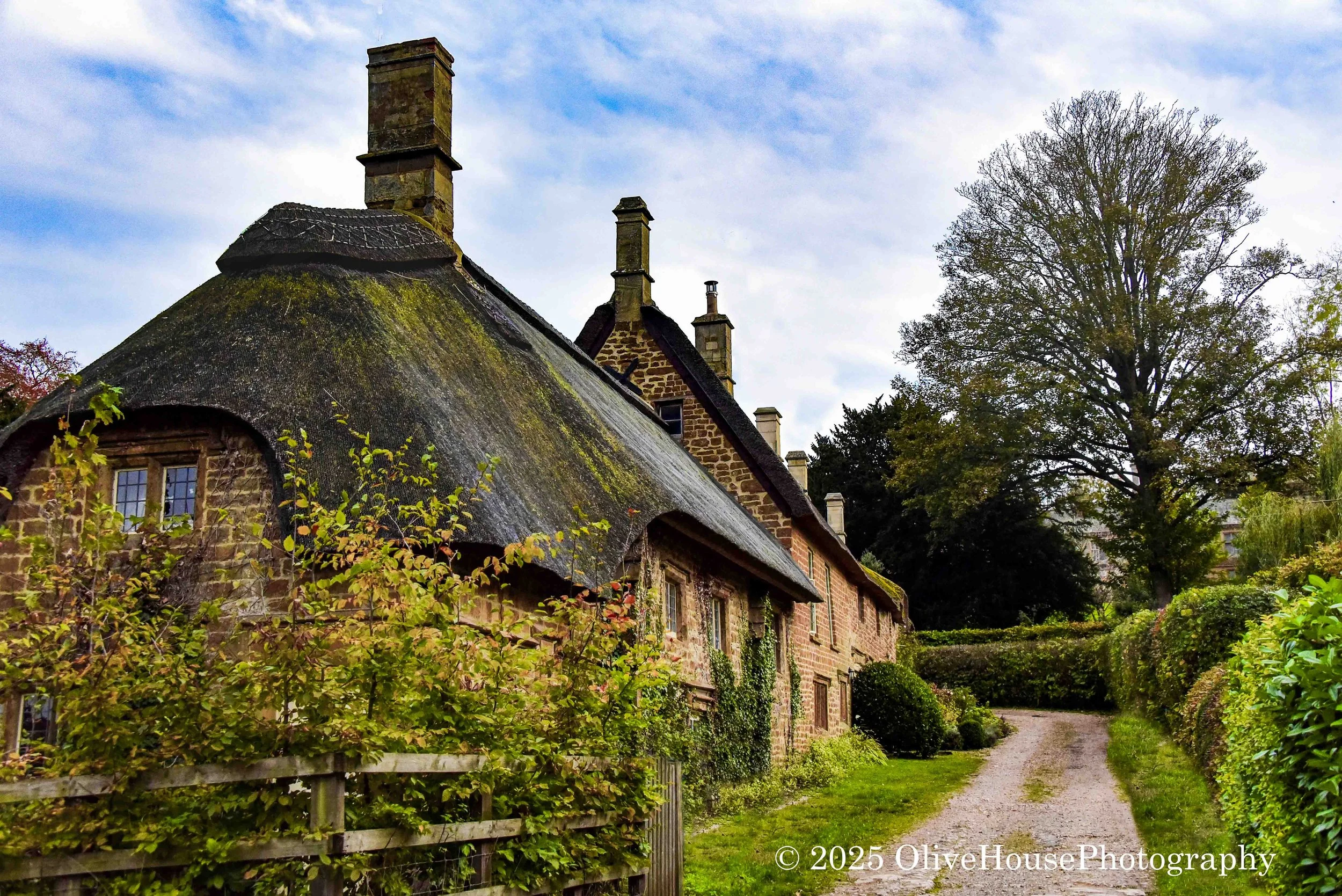 Thatched-roof cottages in the village of Great Tew, in the Cotswolds region of Oxfordshire, England. 
