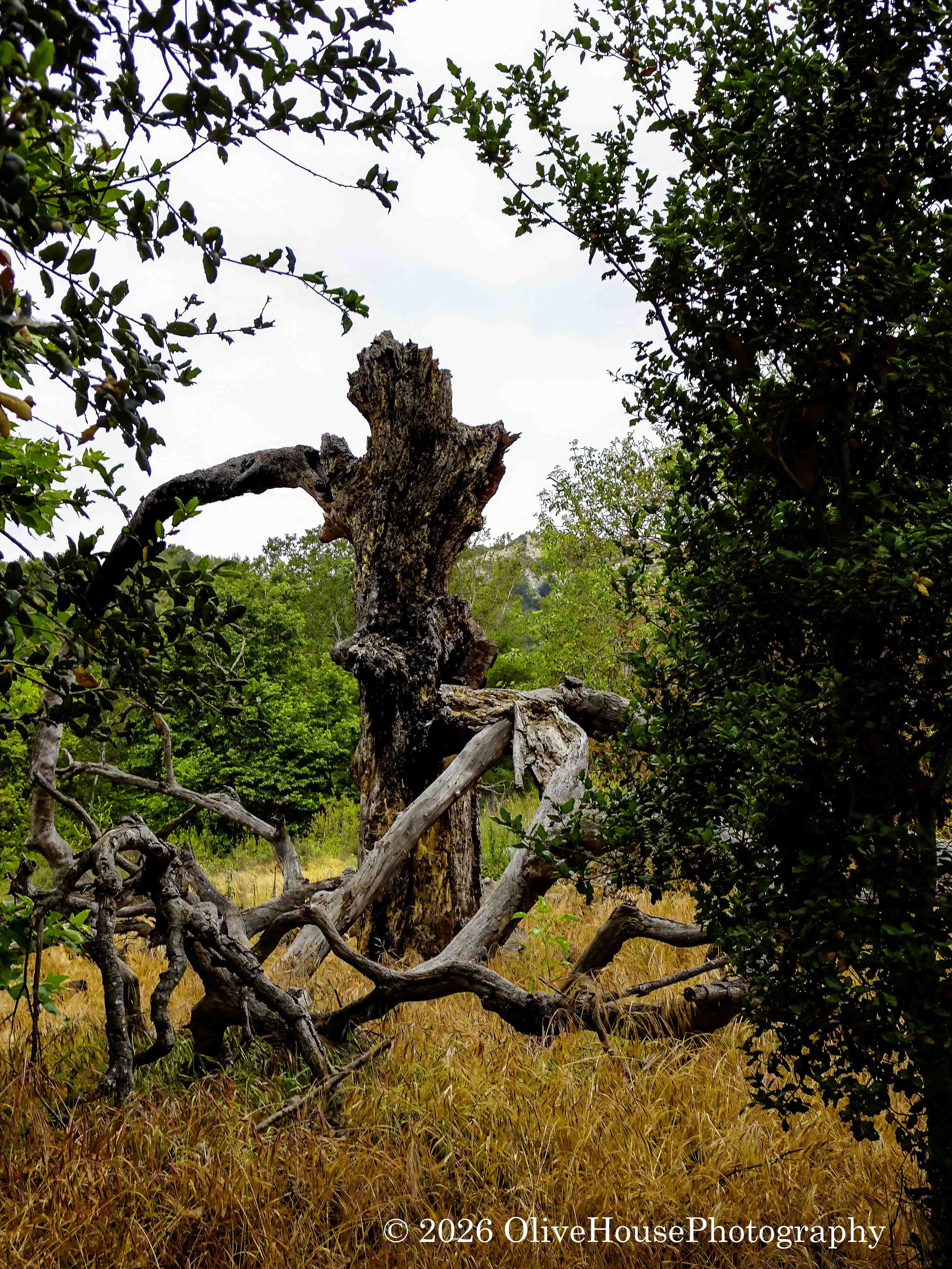 May 29, 2025   00002.jpg