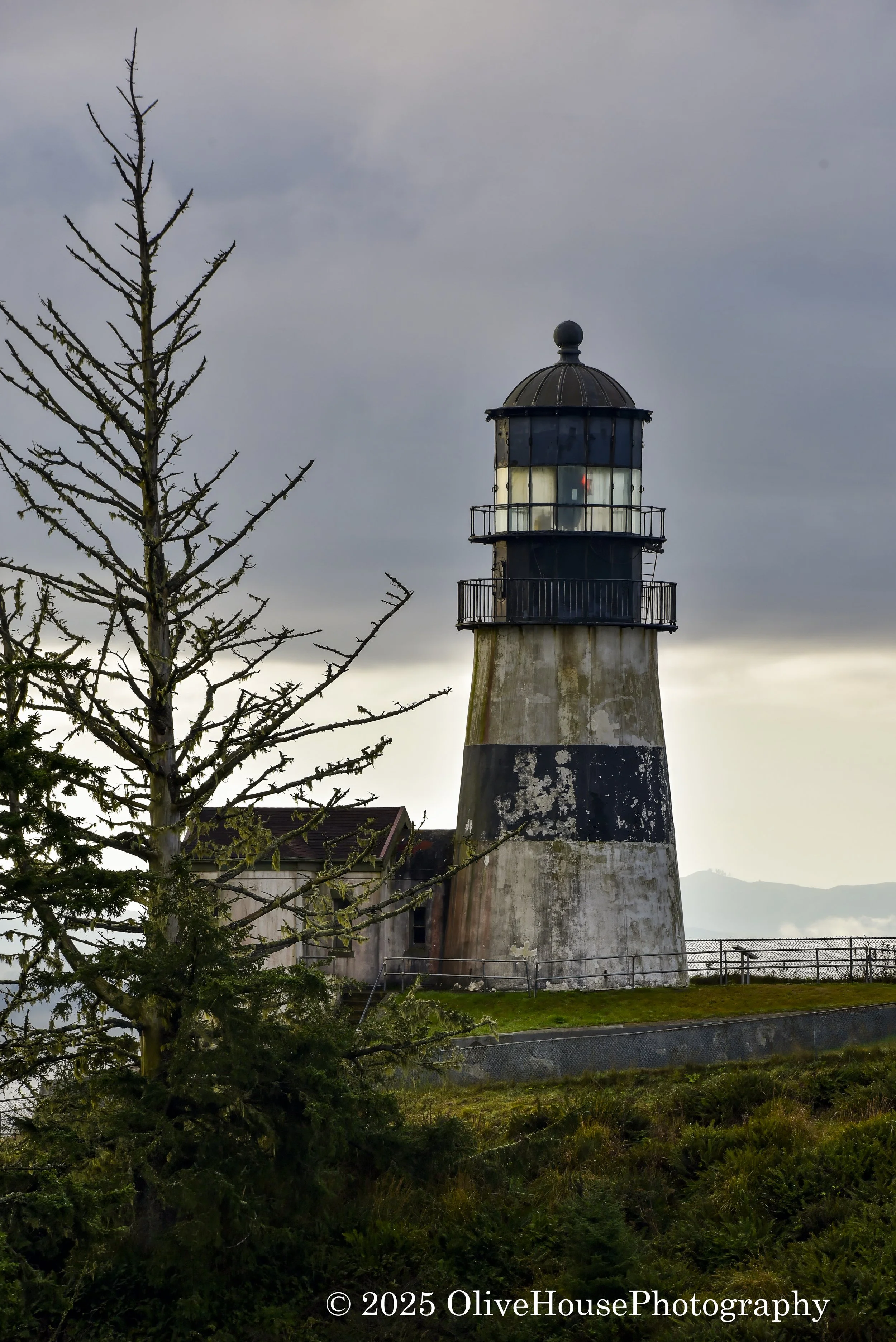 Lighthouses012.jpg