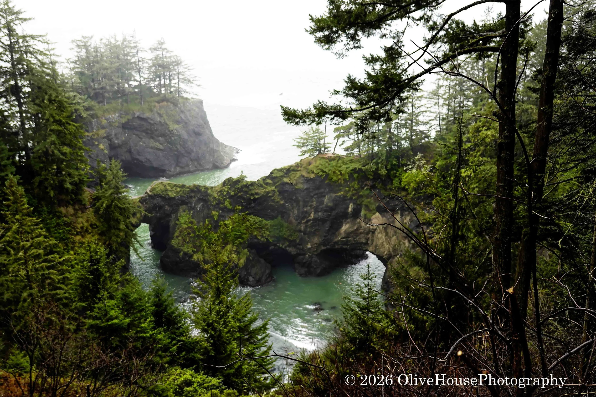 Natural Bridges viewpoint within the Samuel H. Boardman State Scenic Corridor on the southern Oregon Coast. 