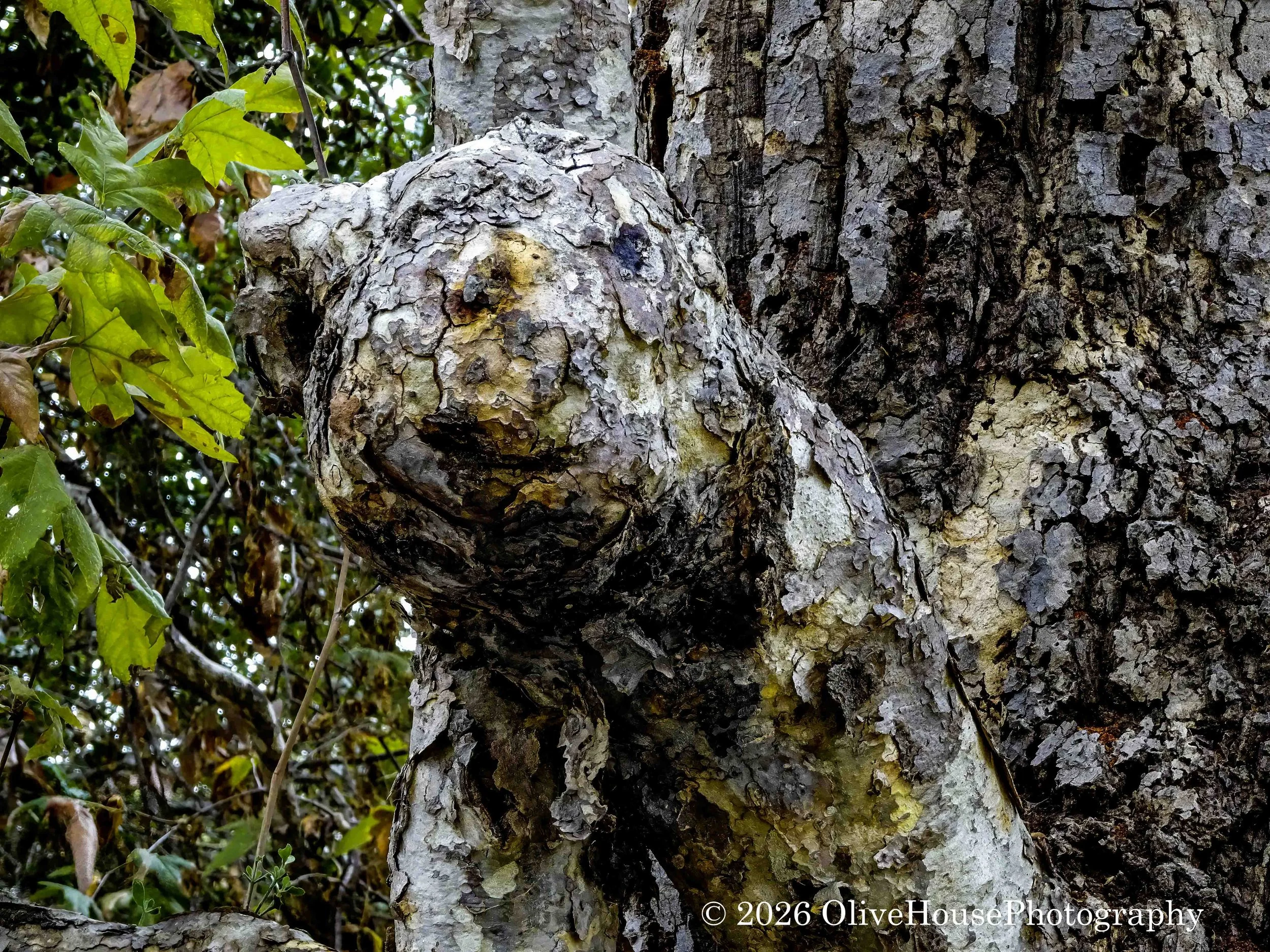 November 19, 2021  0