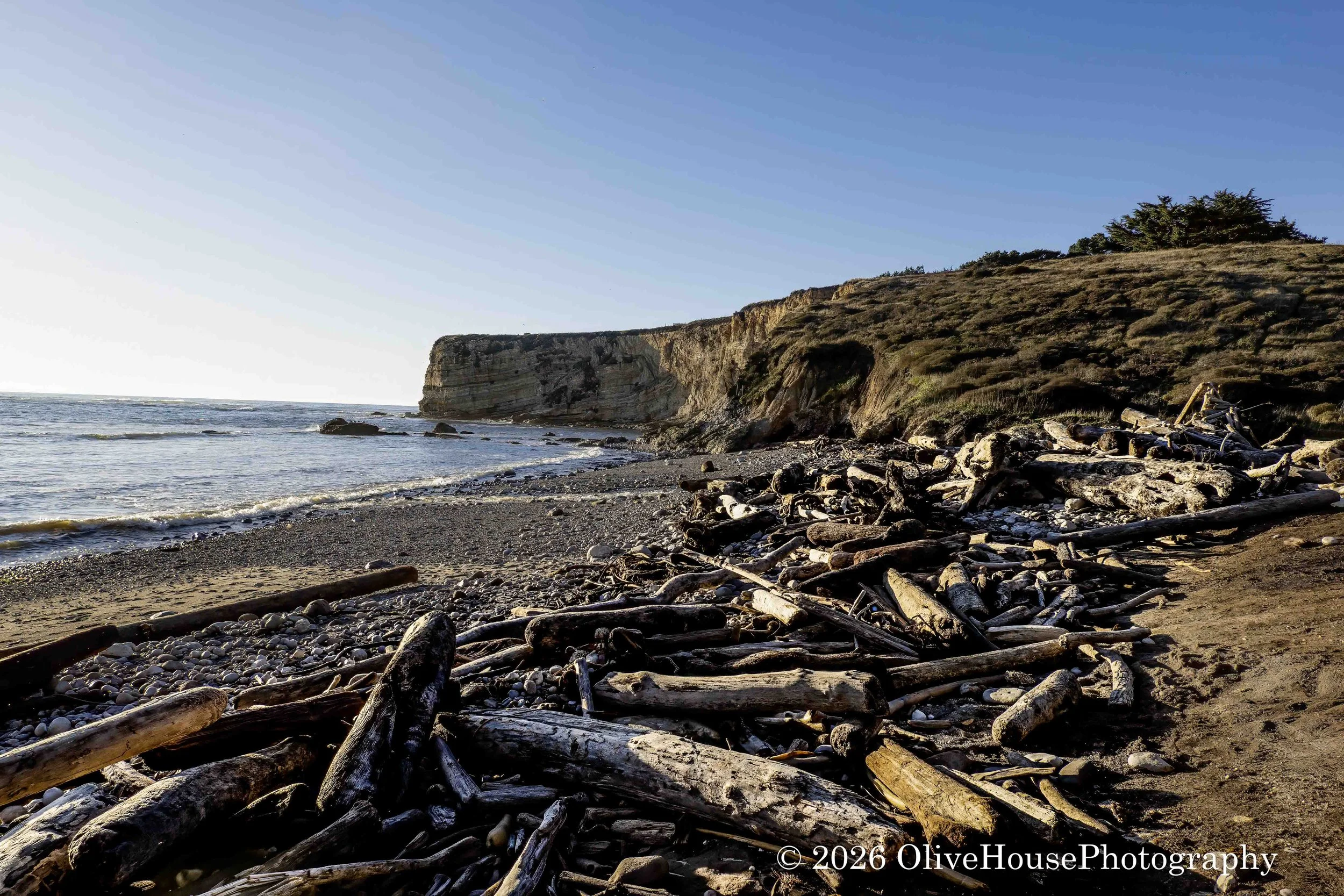 Moat Creek Costal Trail, Point Arenas, CA