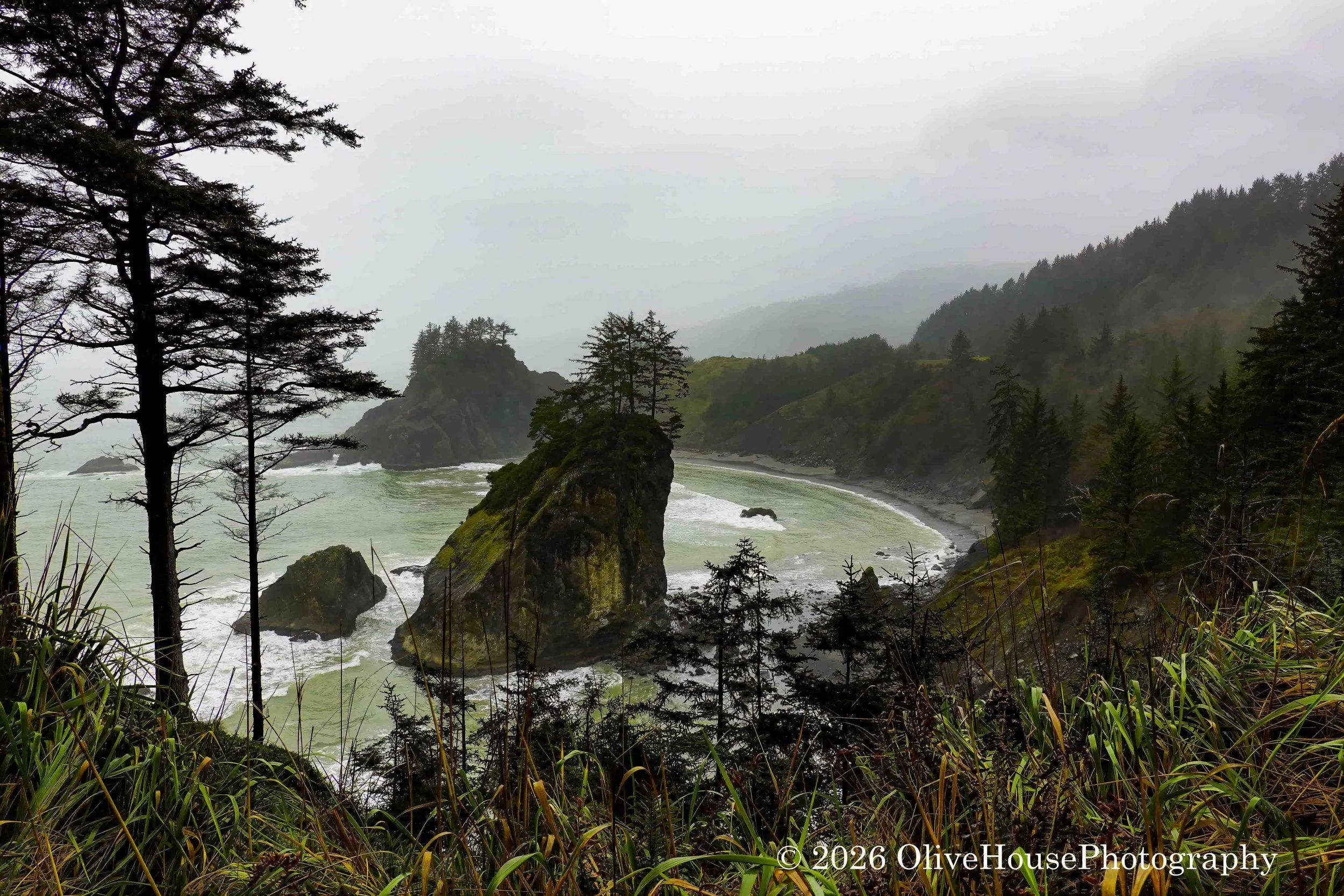 Tree-topped sea stack at Samuel H. Boardman State Scenic Corridor on the southern Oregon coast.
