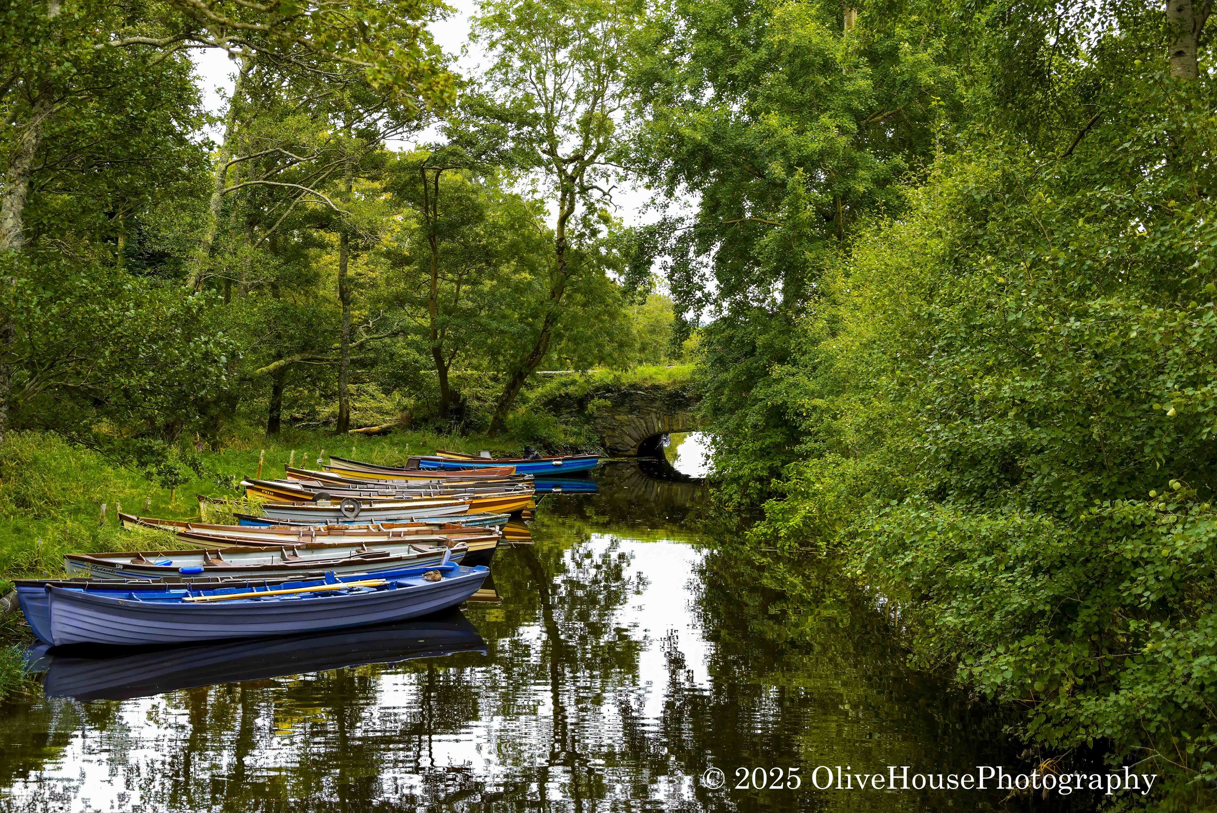 Line of traditional wooden rowboats at Ross Castle, in Killarney National Park, County Kerry, Ireland.