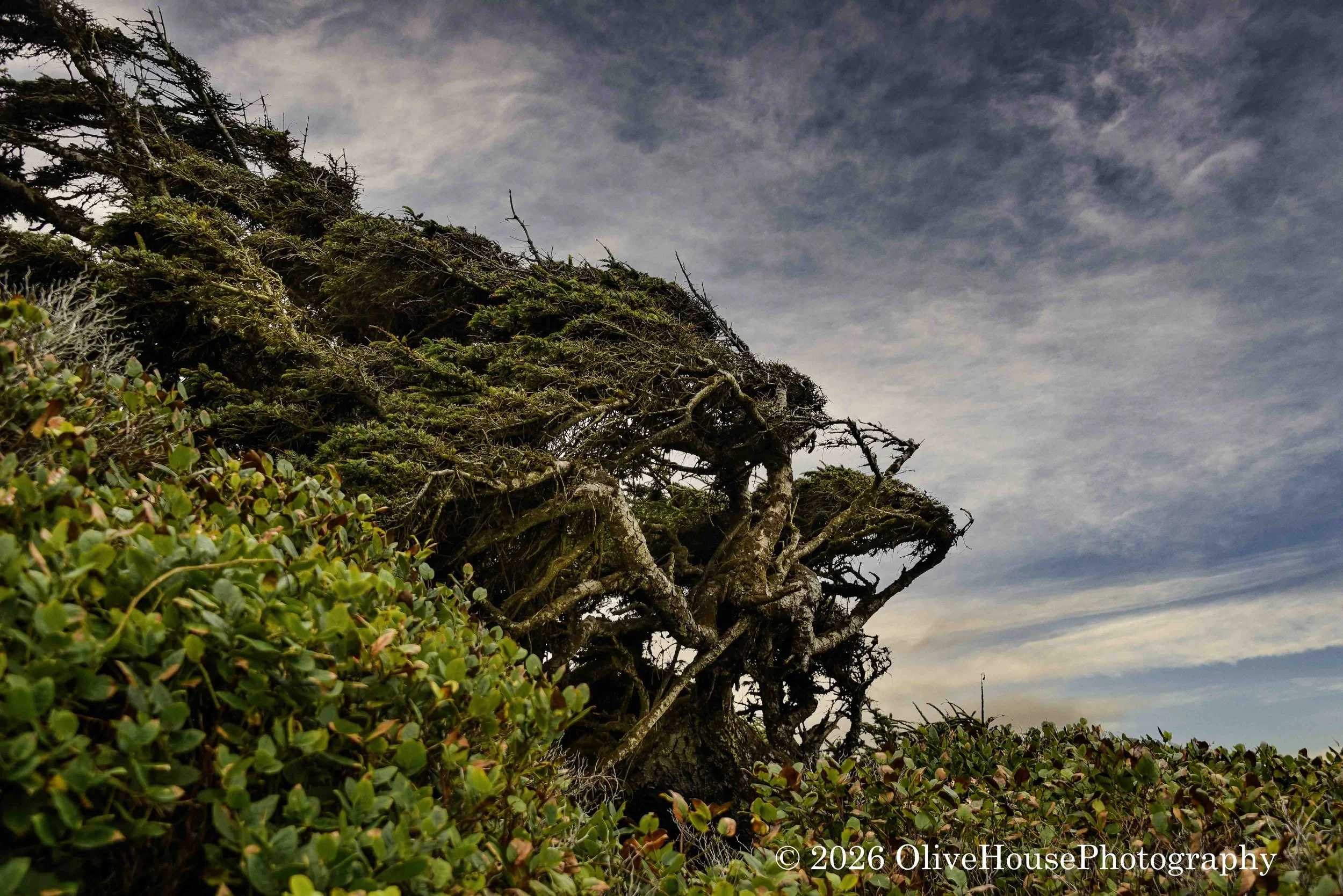 October 07, 2020 Time 1