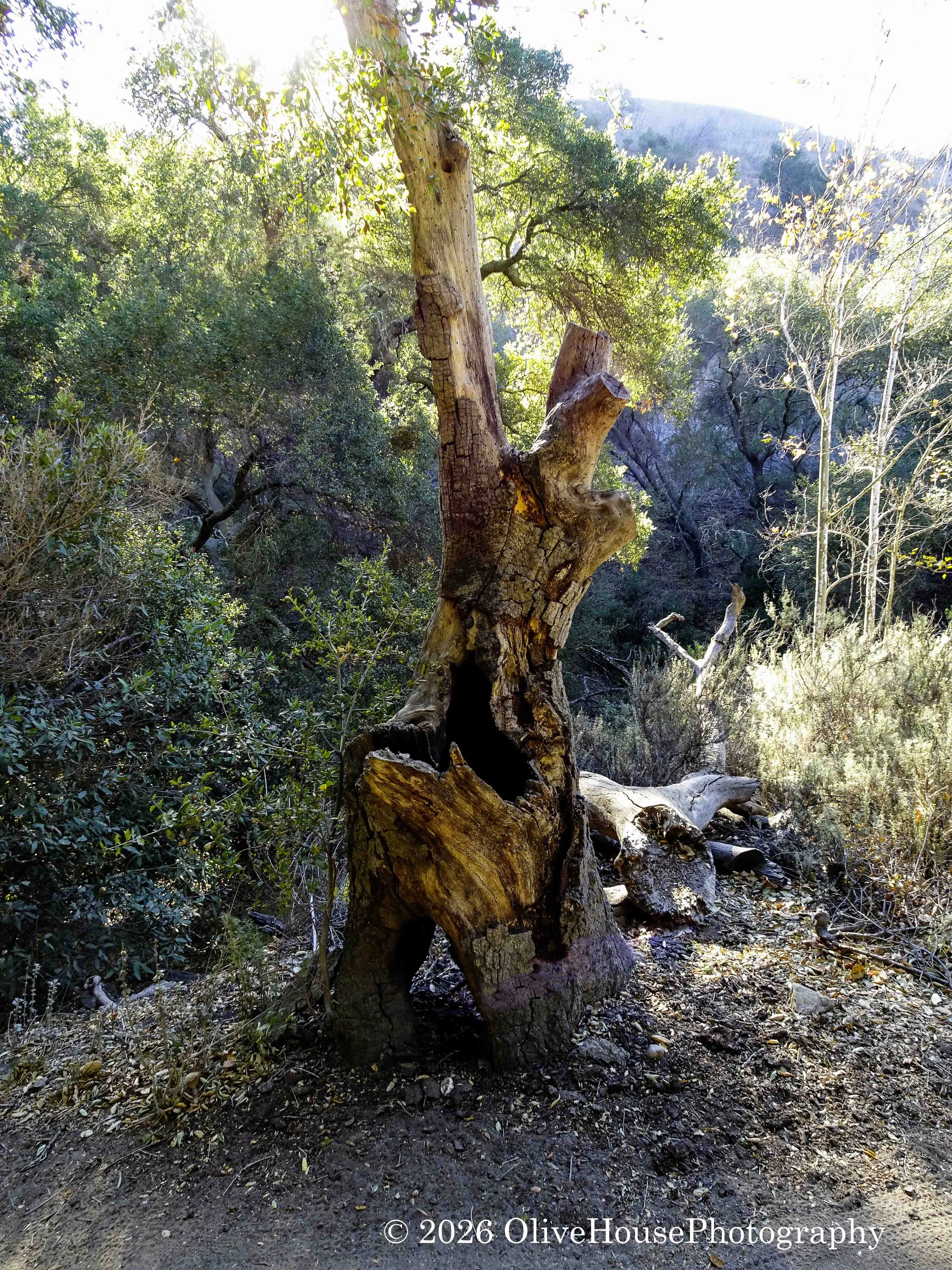 December 01, 2021  1