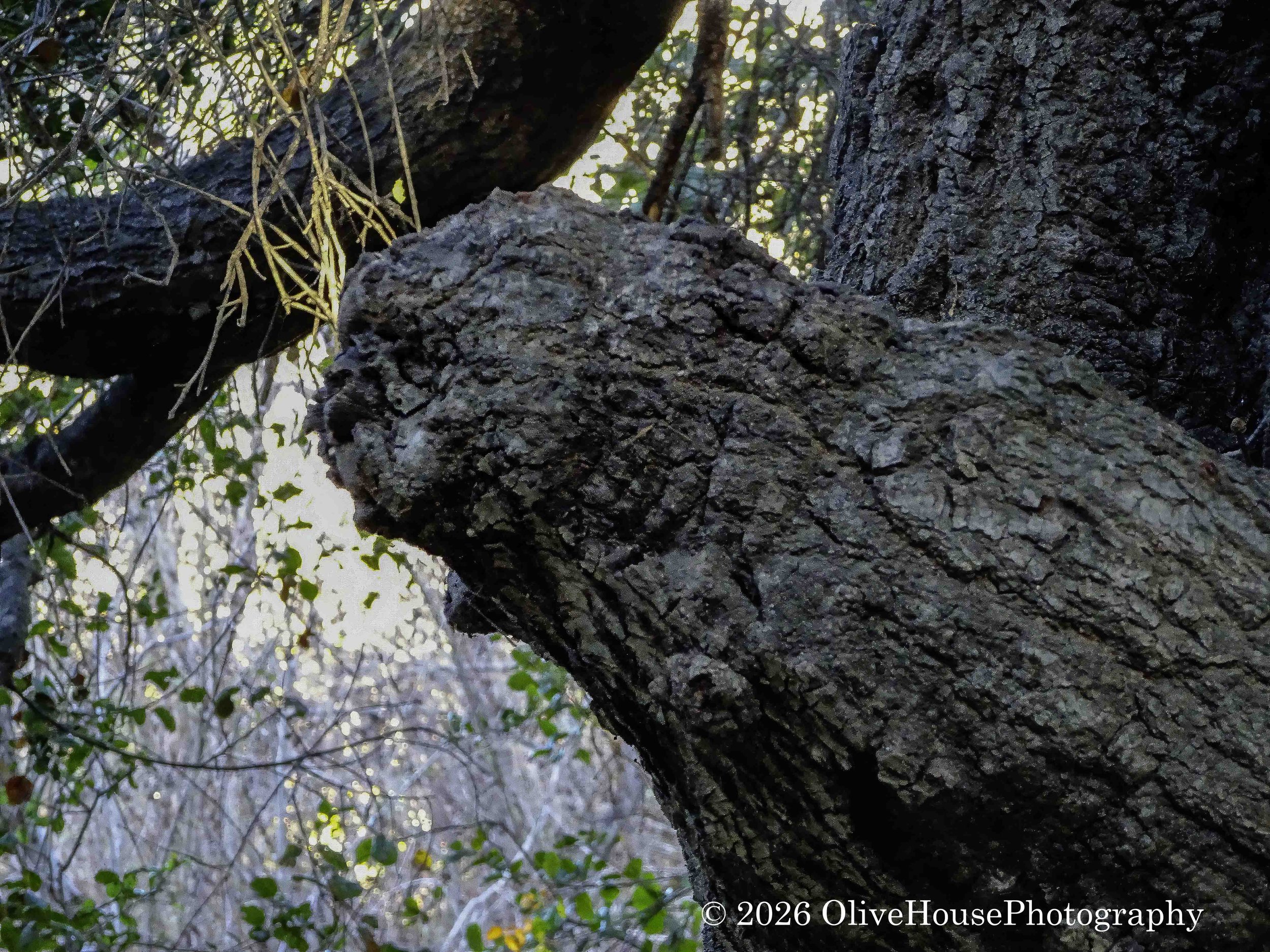 December 15, 2023 Time 0