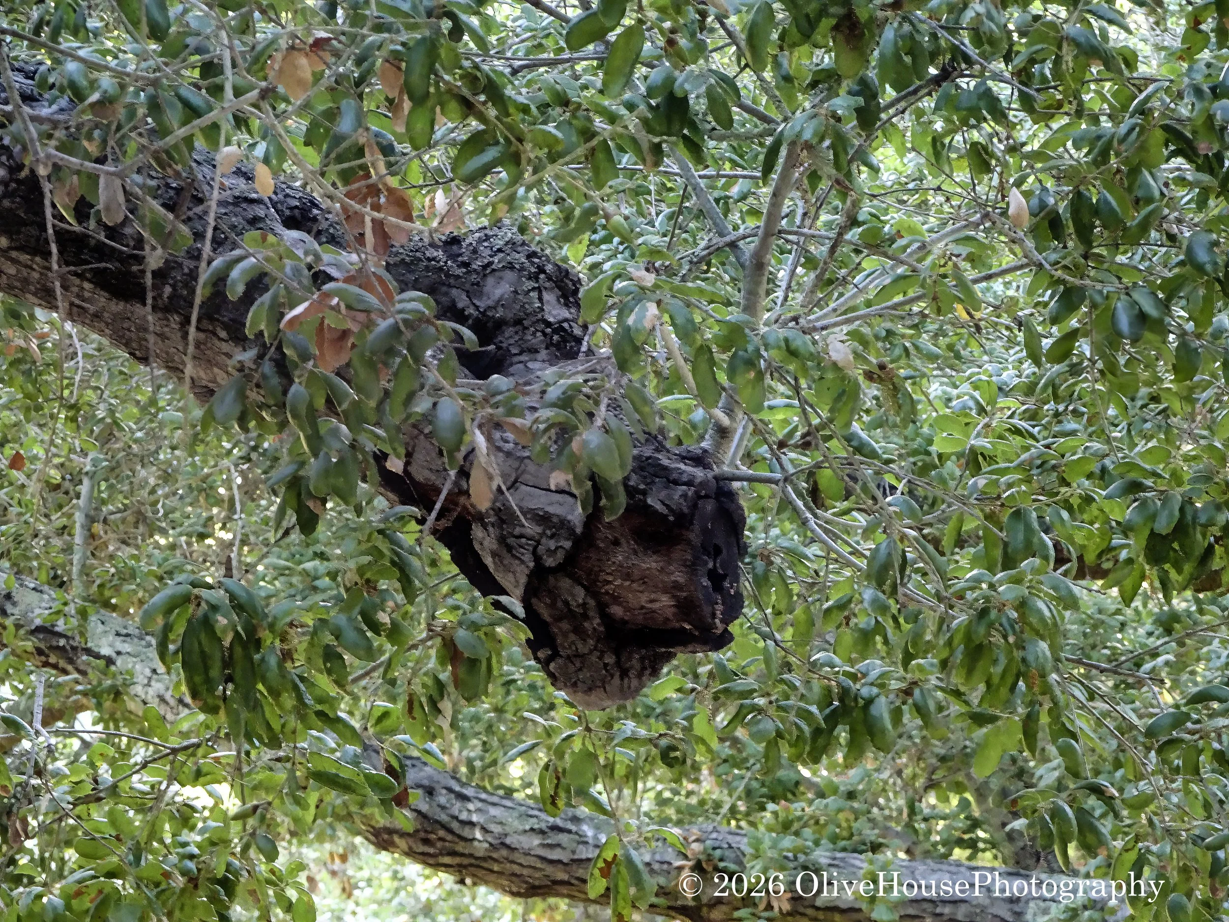 October 03, 2024 Time 0