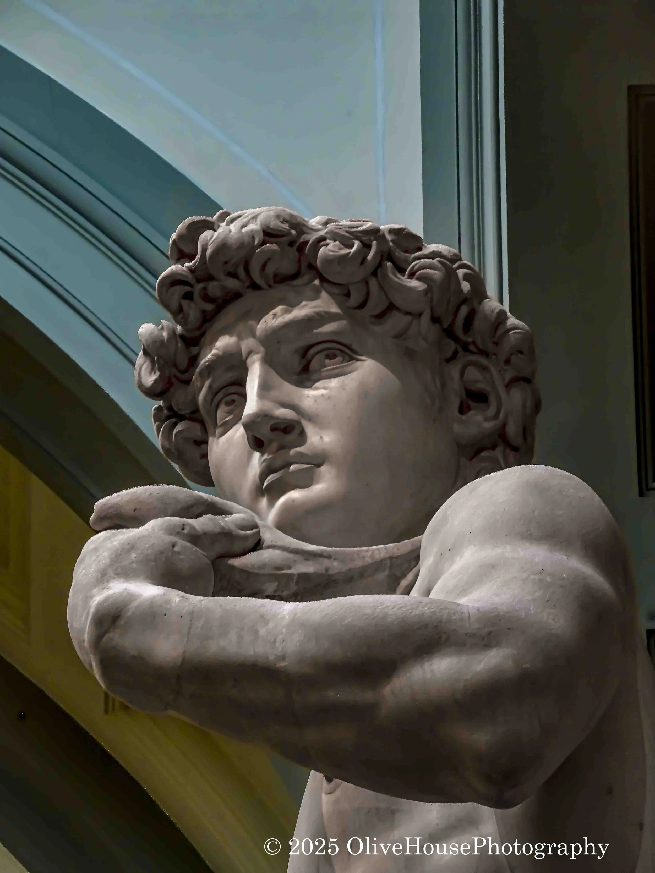  Close-up photograph of the head and shoulders of Michelangelo's iconic marble sculpture, David, at the Galleria dell'Accademia in Florence, Italy