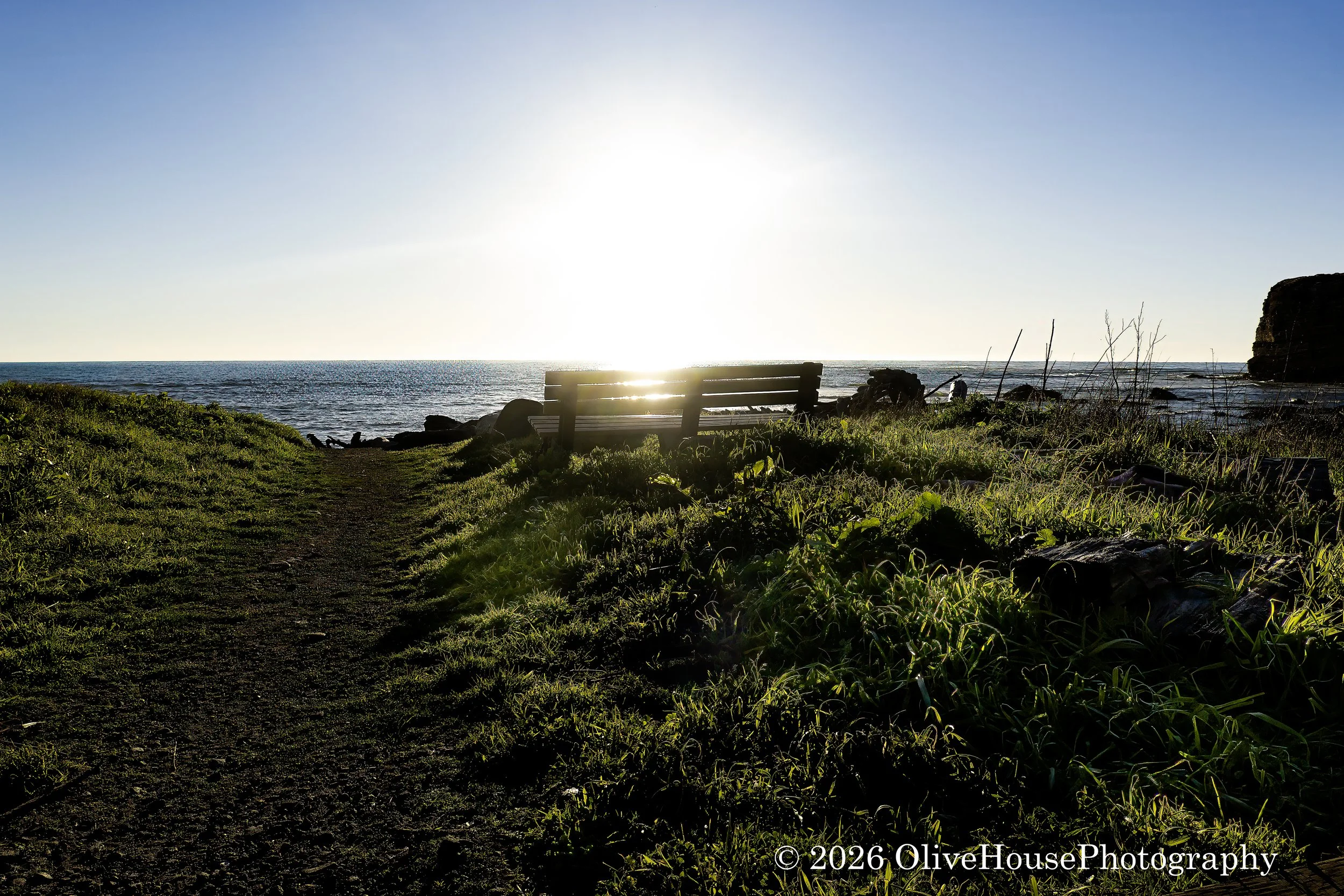 Moat Creek Coastal Trail, Point Arena, CA