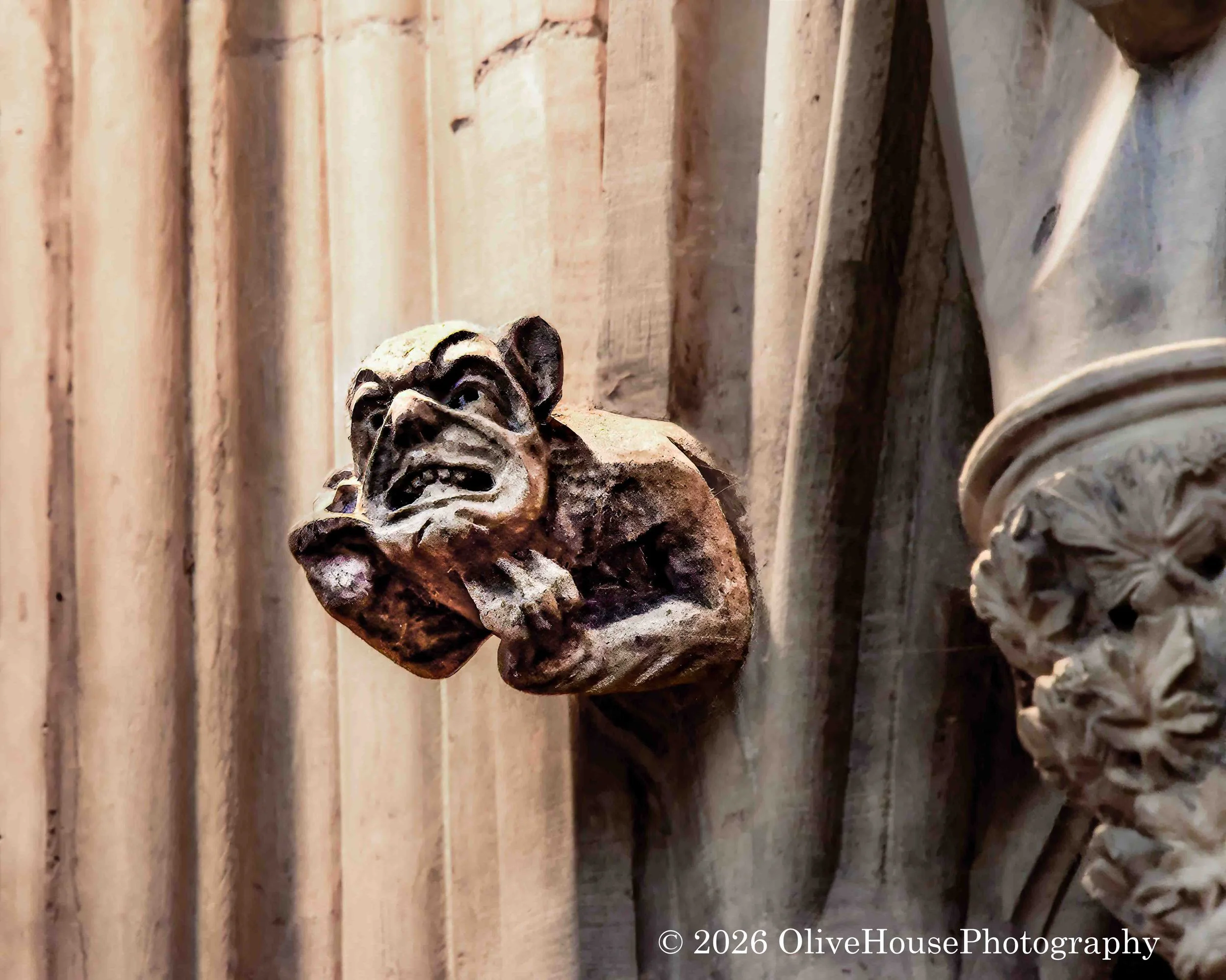 Grotesque on York Minster, York, England.