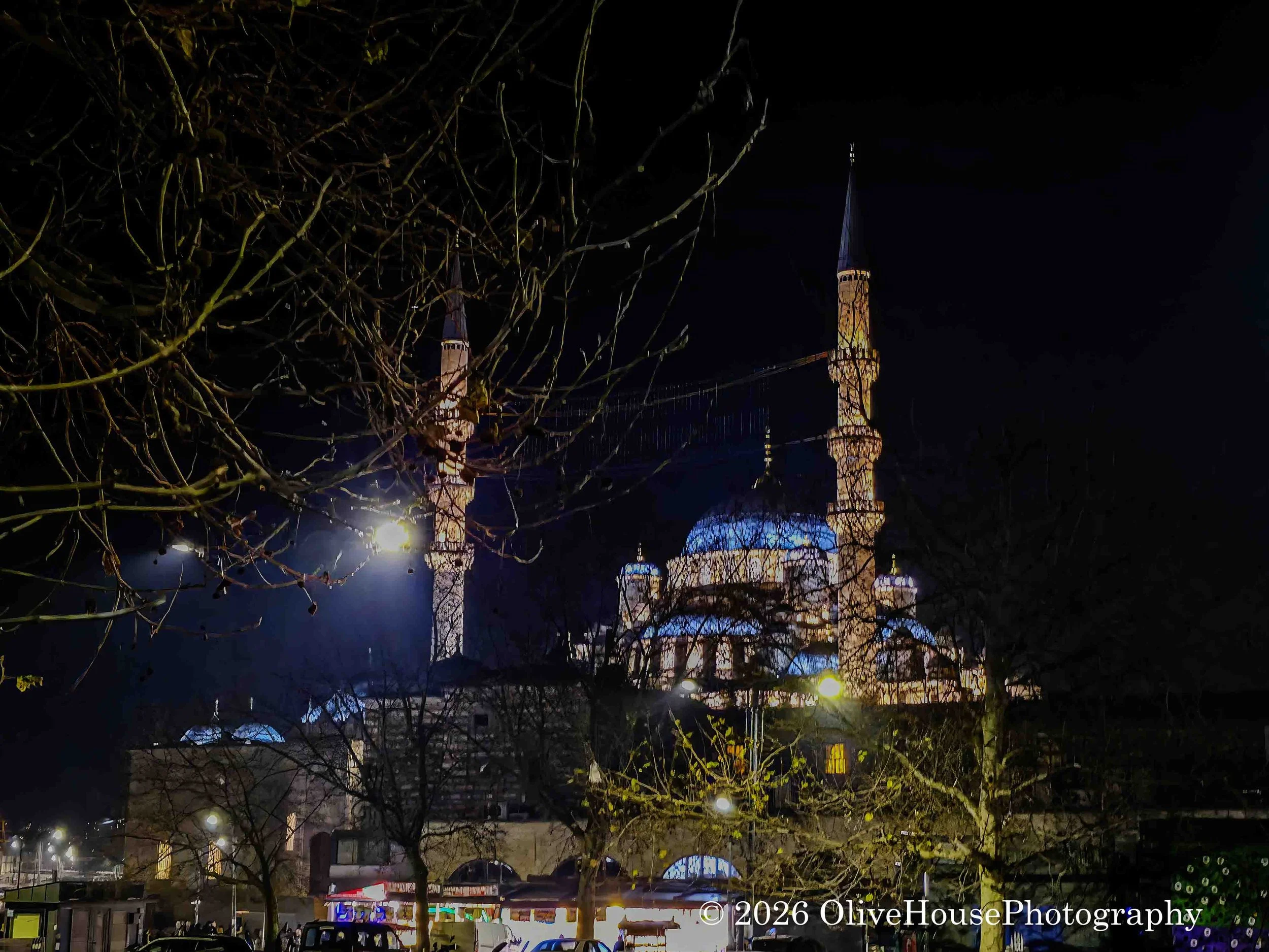 New Mosque (Yeni Camii) in Istanbul, Turkey.  
Despite its name meaning "New Mosque," it is a historical imperial Ottoman mosque over 350 years old. 