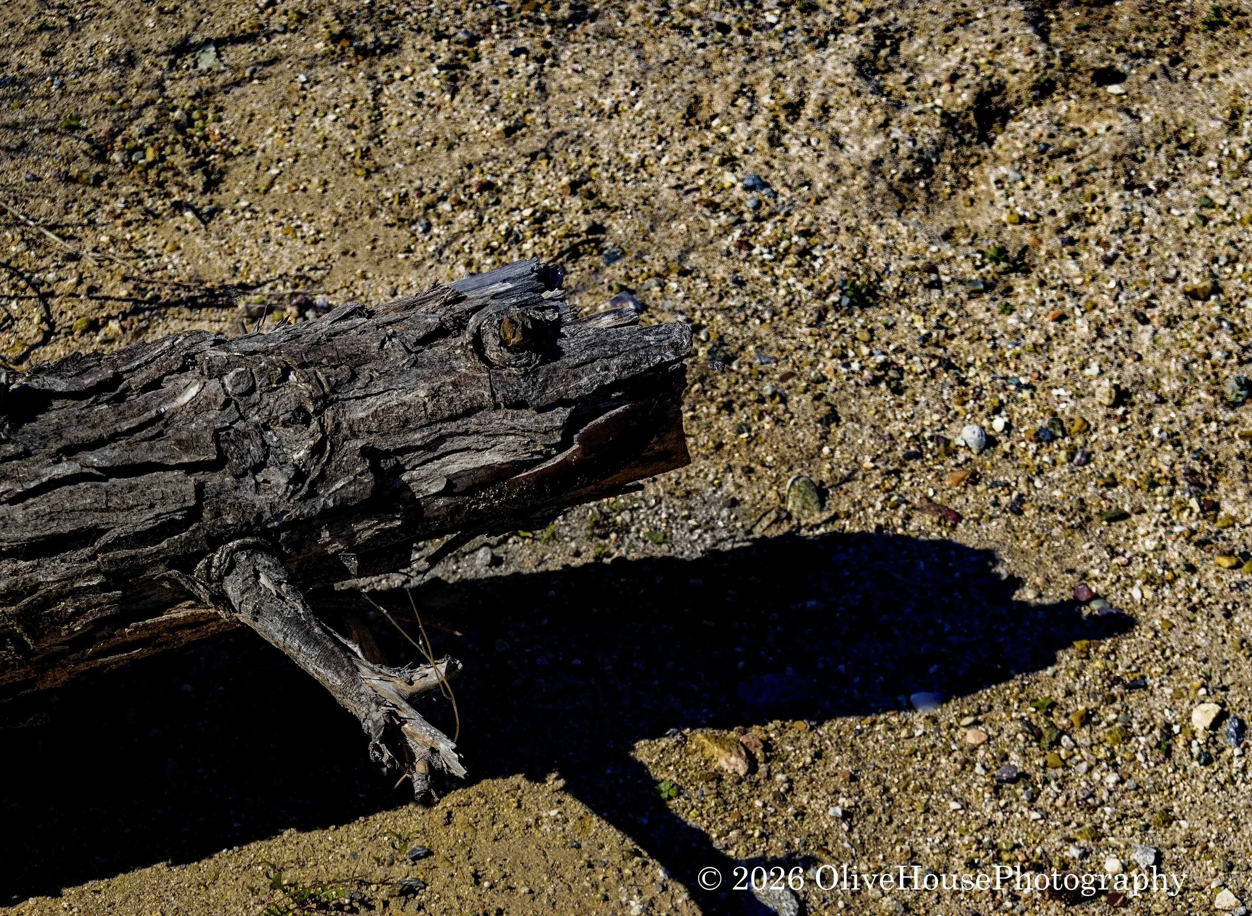 February 24, 2021   00004 _-Edit.jpg