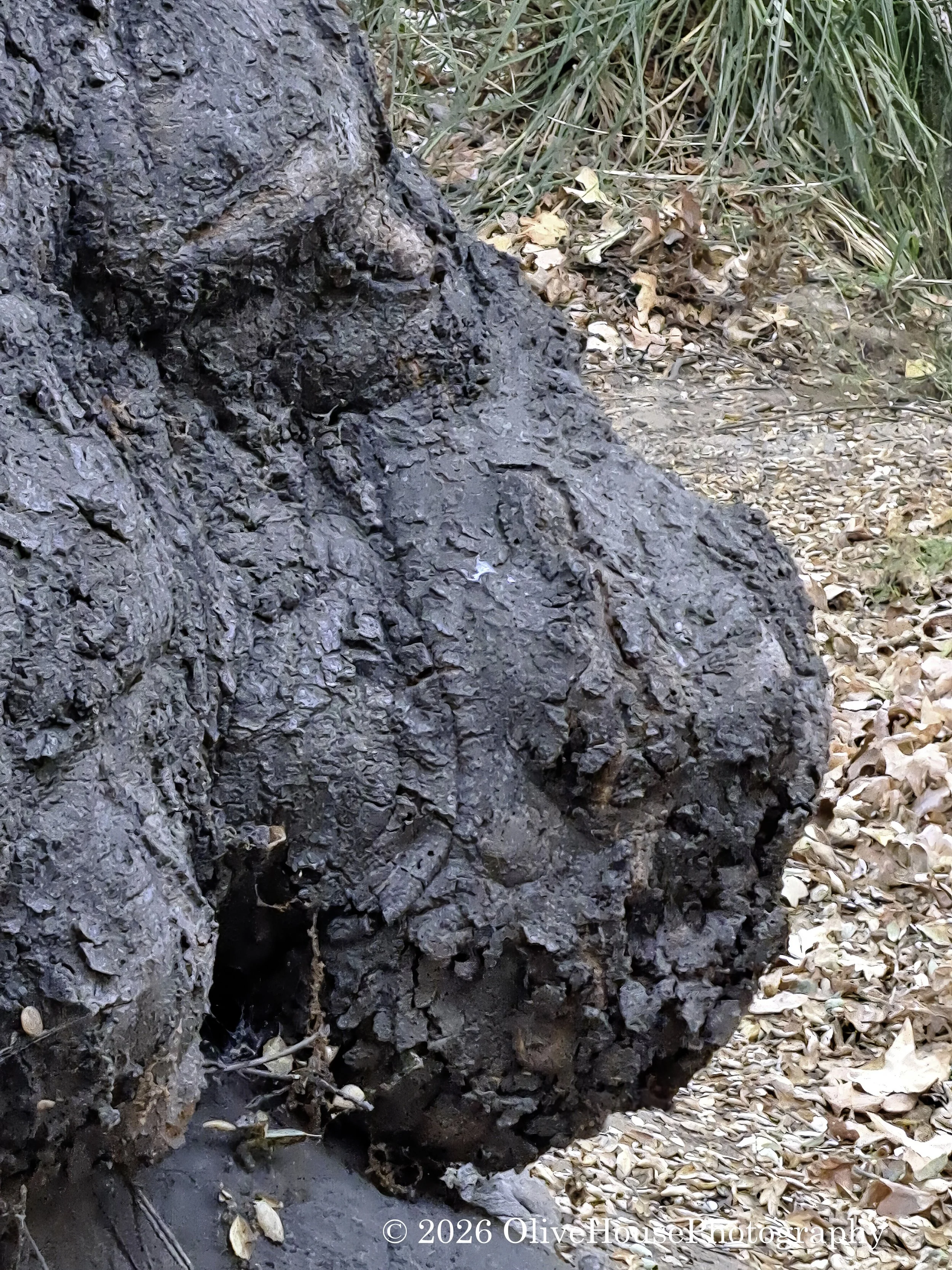 December 20, 2024   00014.jpg