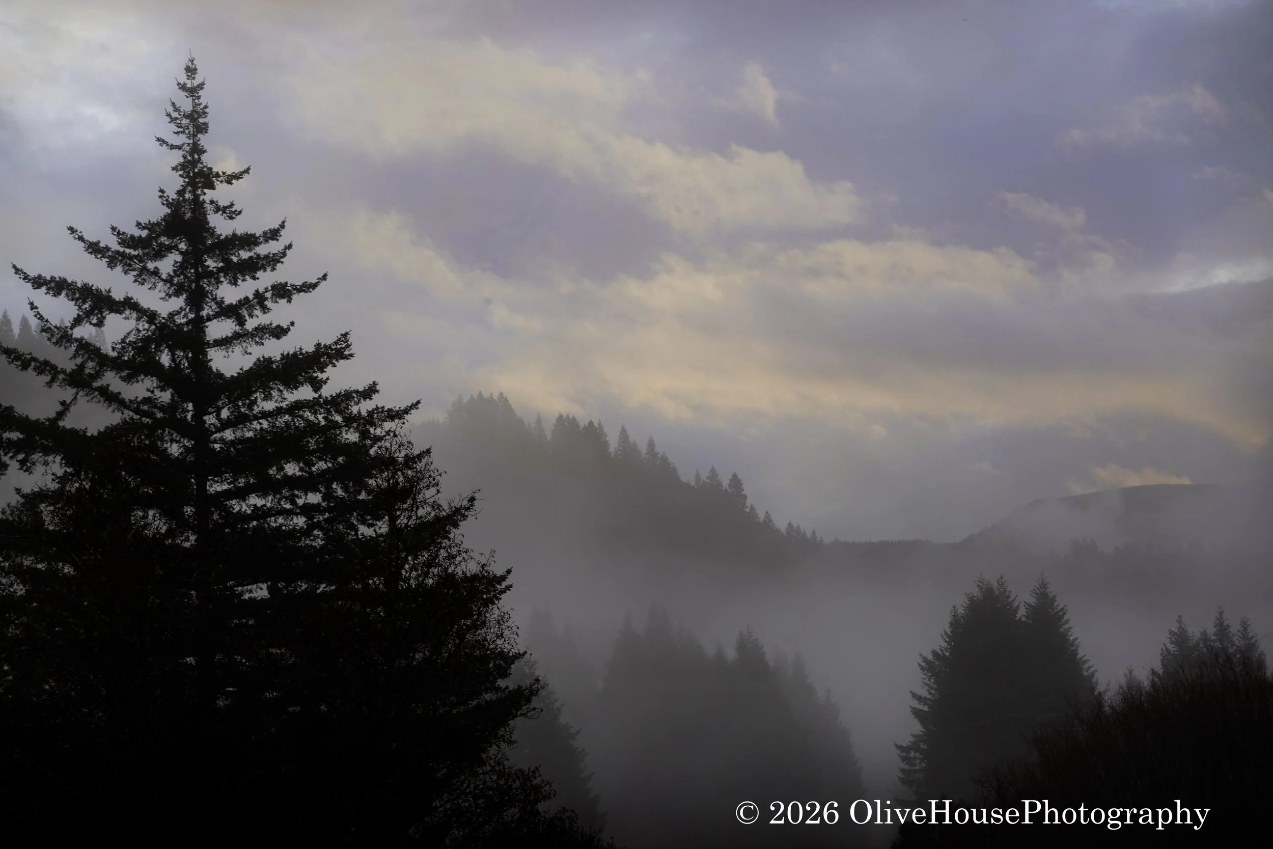 Foggy morning in southern Oregon.