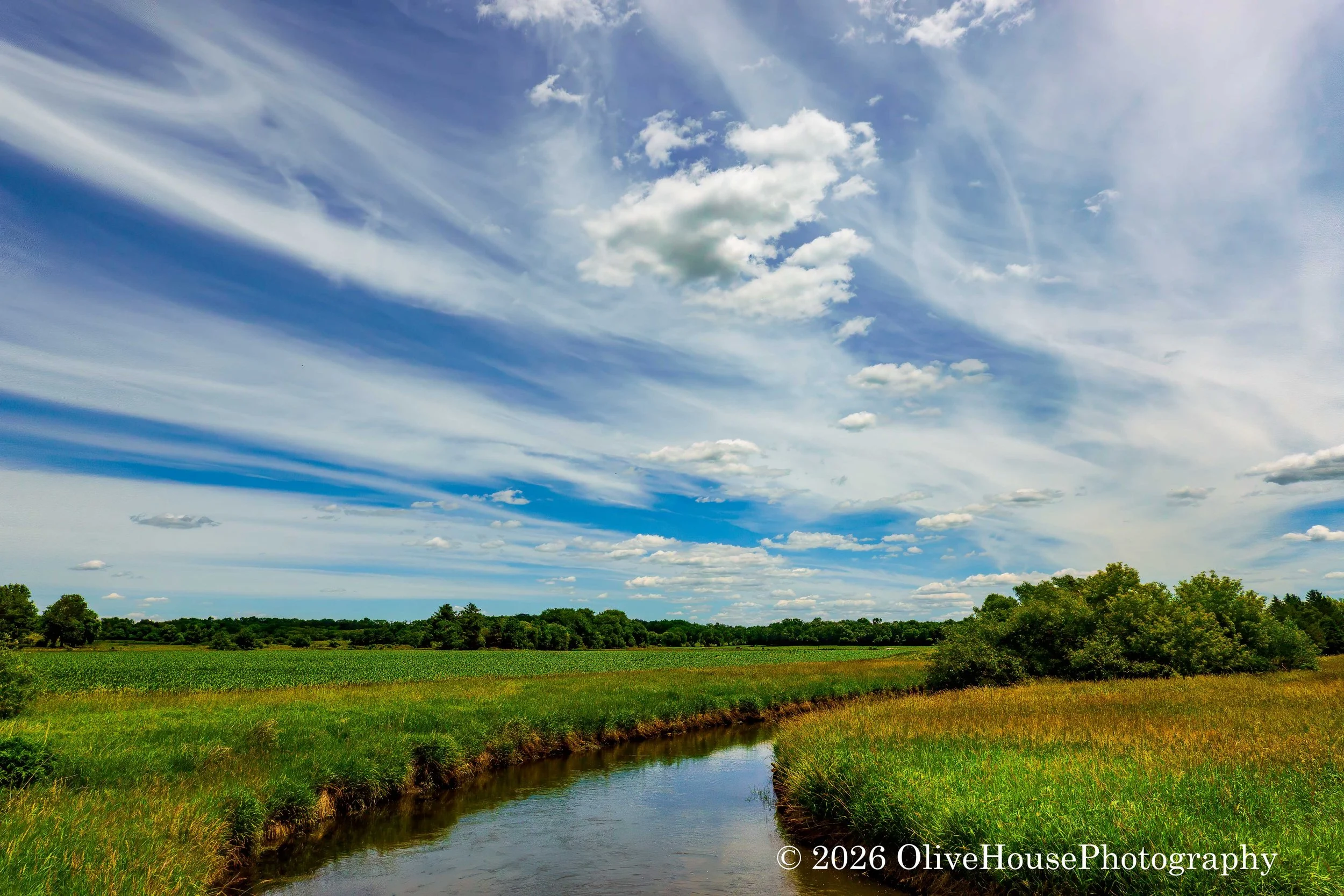 NEW - Illinois & Wisconsin Hikes - June 2026