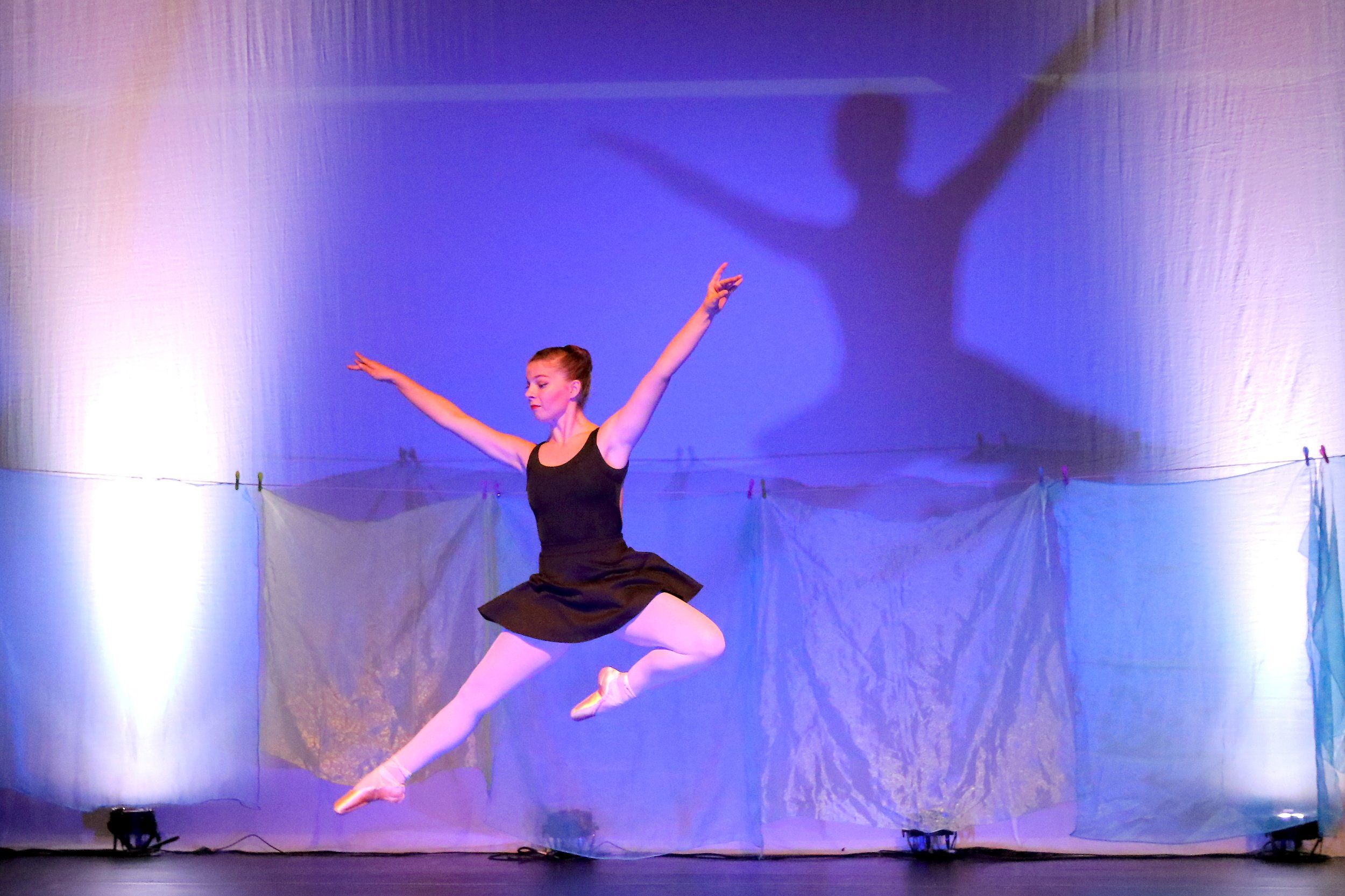 WF US-MS Dance 11-16-17 - 4282-1.JPG