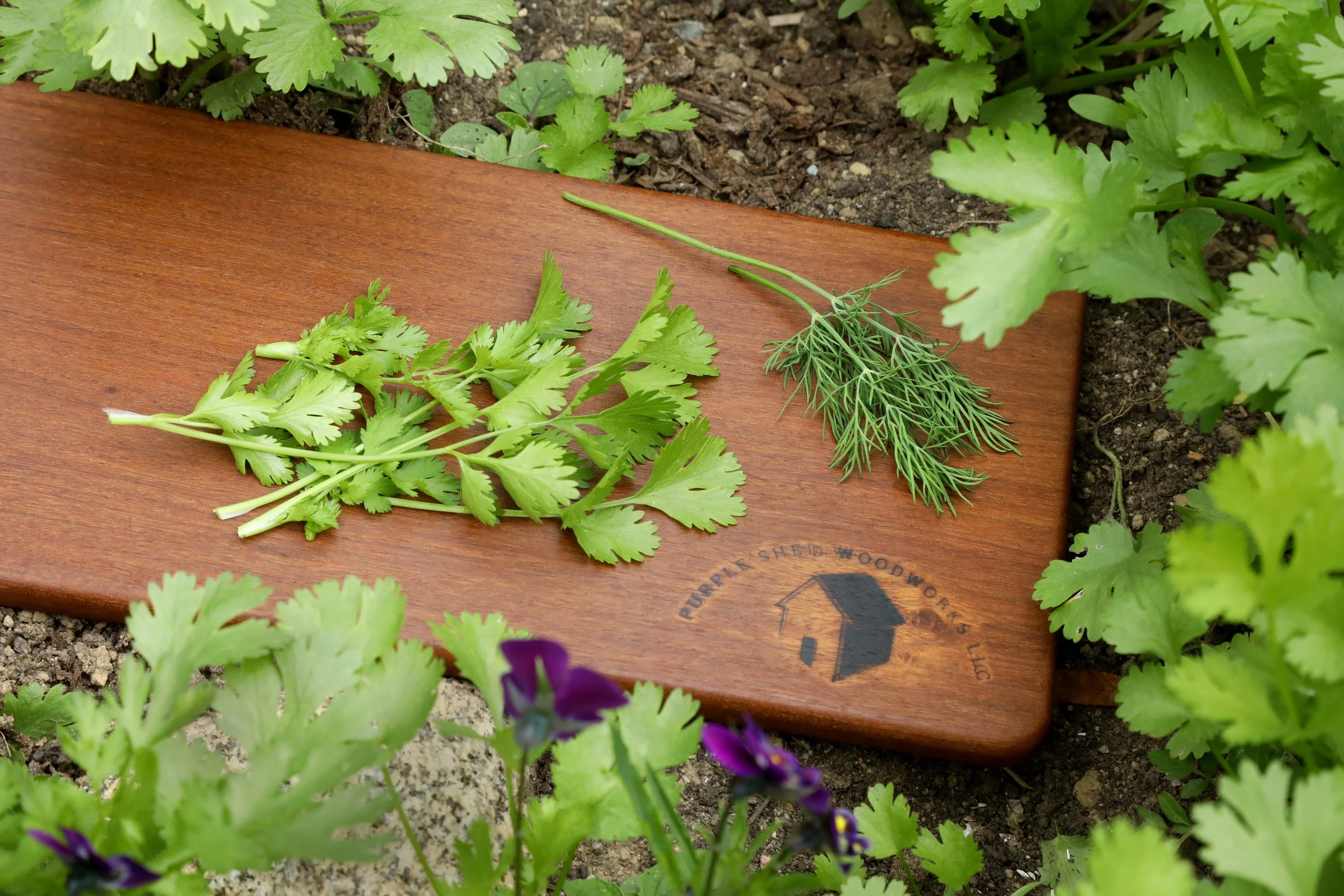 Purple Shed Woodworks  2020  - 2400-1.JPG