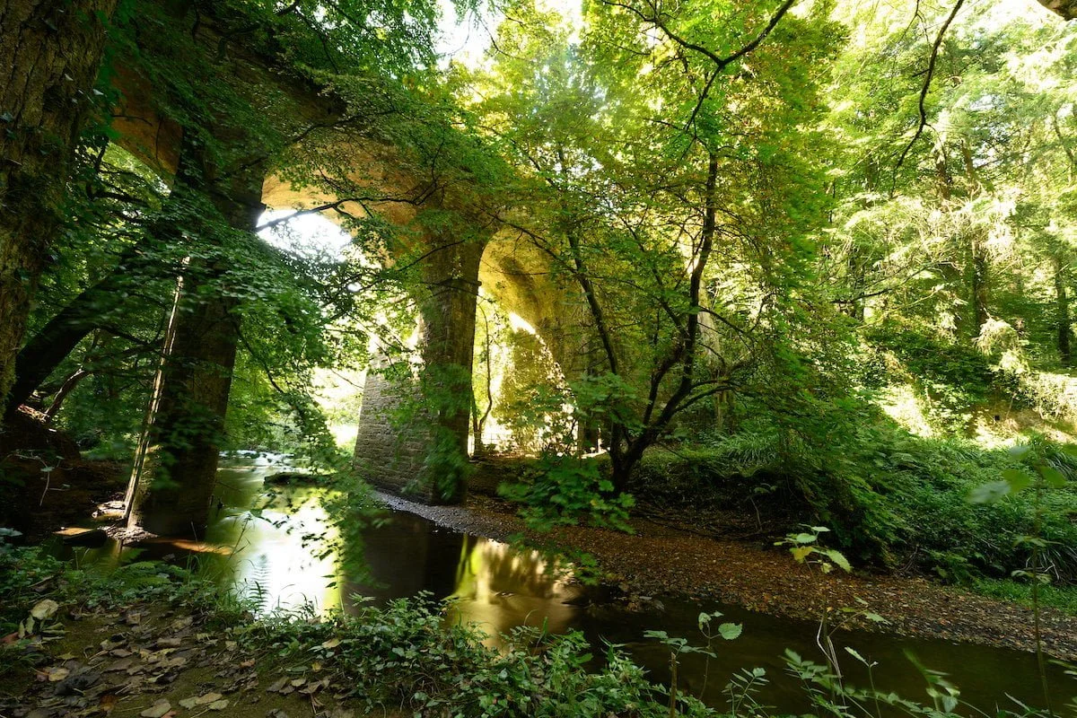 CourtownWoods-BallinatrayBridge-3260.jpg