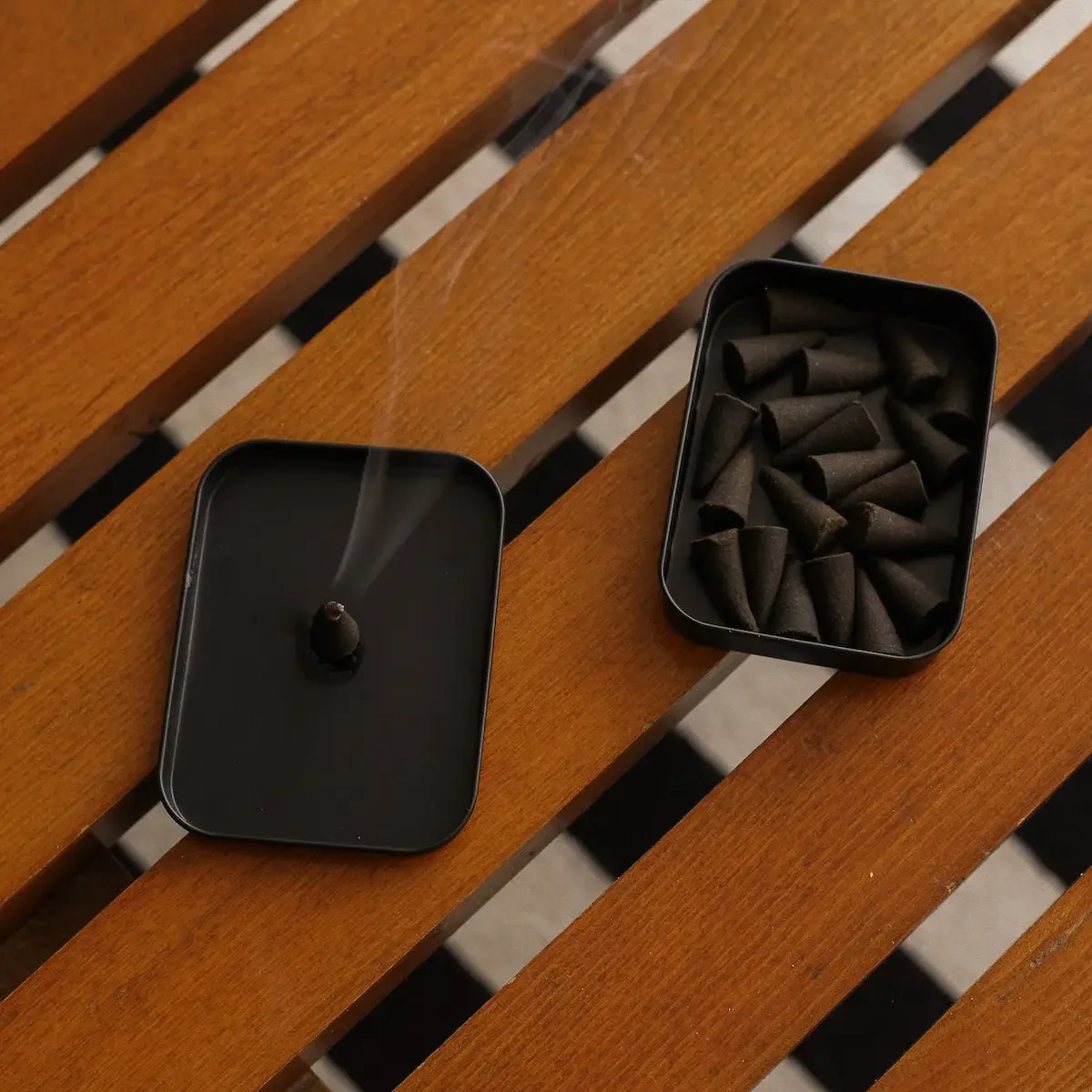 dilo cactus open.webp