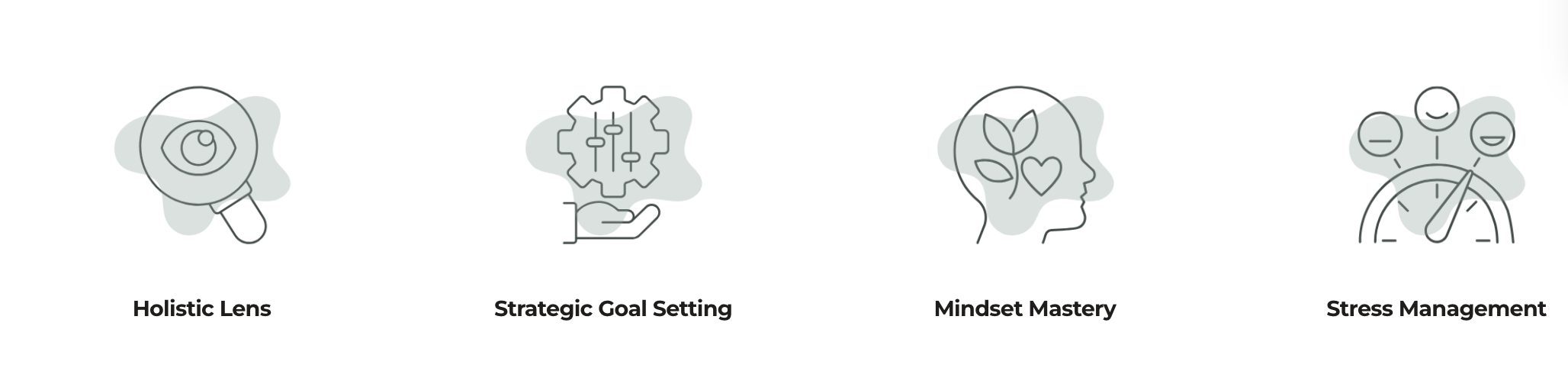 A graphic illustration with four icons representing different mental wellness concepts: a magnifying glass with an eye symbol for Holistic Lens, a hand holding a gear with sliders for Strategic Goal Setting, a profile of a head with leaves and a heart for Mindset Mastery, and a stopwatch with facial expressions for Stress Management.