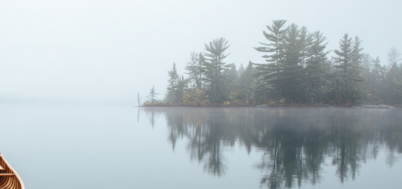 life and wellness coach