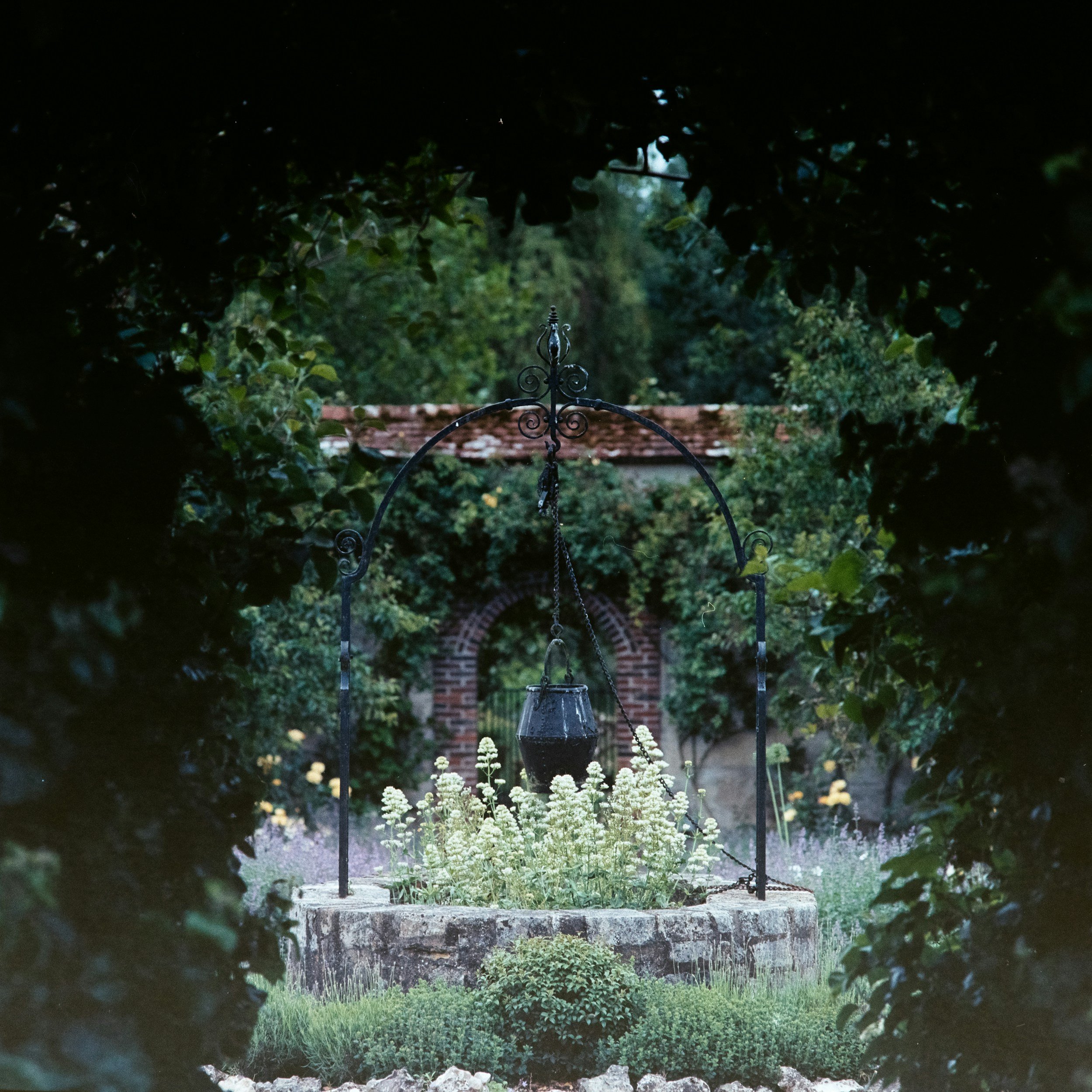 View of an old stone well with a hanging bucket, surrounded by white flowers and greenery, framed by dark foliage.