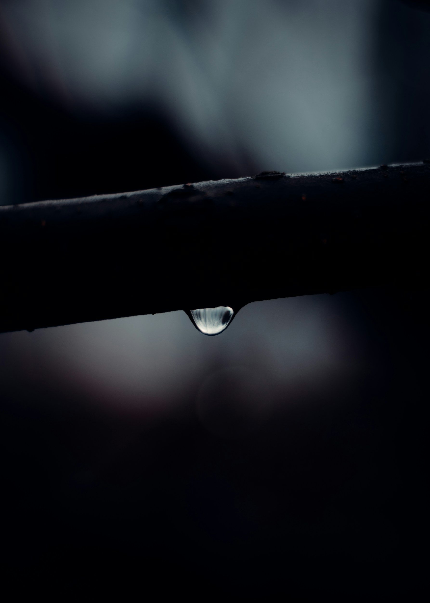 Hollow Tears