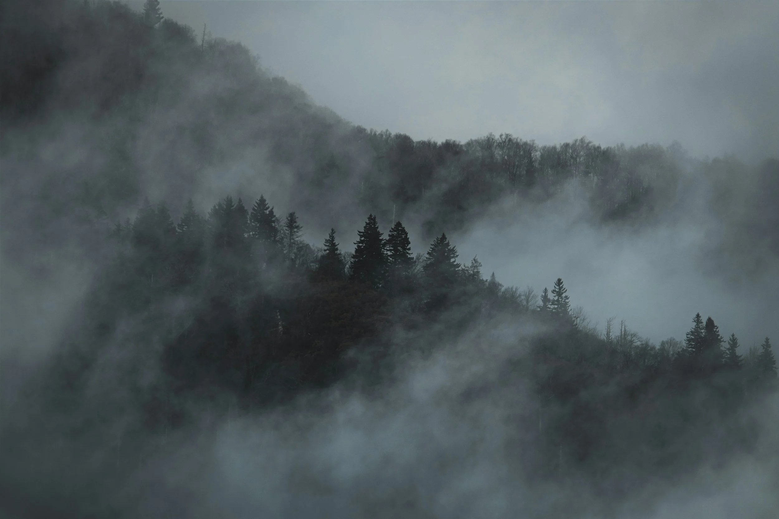 Surrendering to silence, and the acceptance of peace