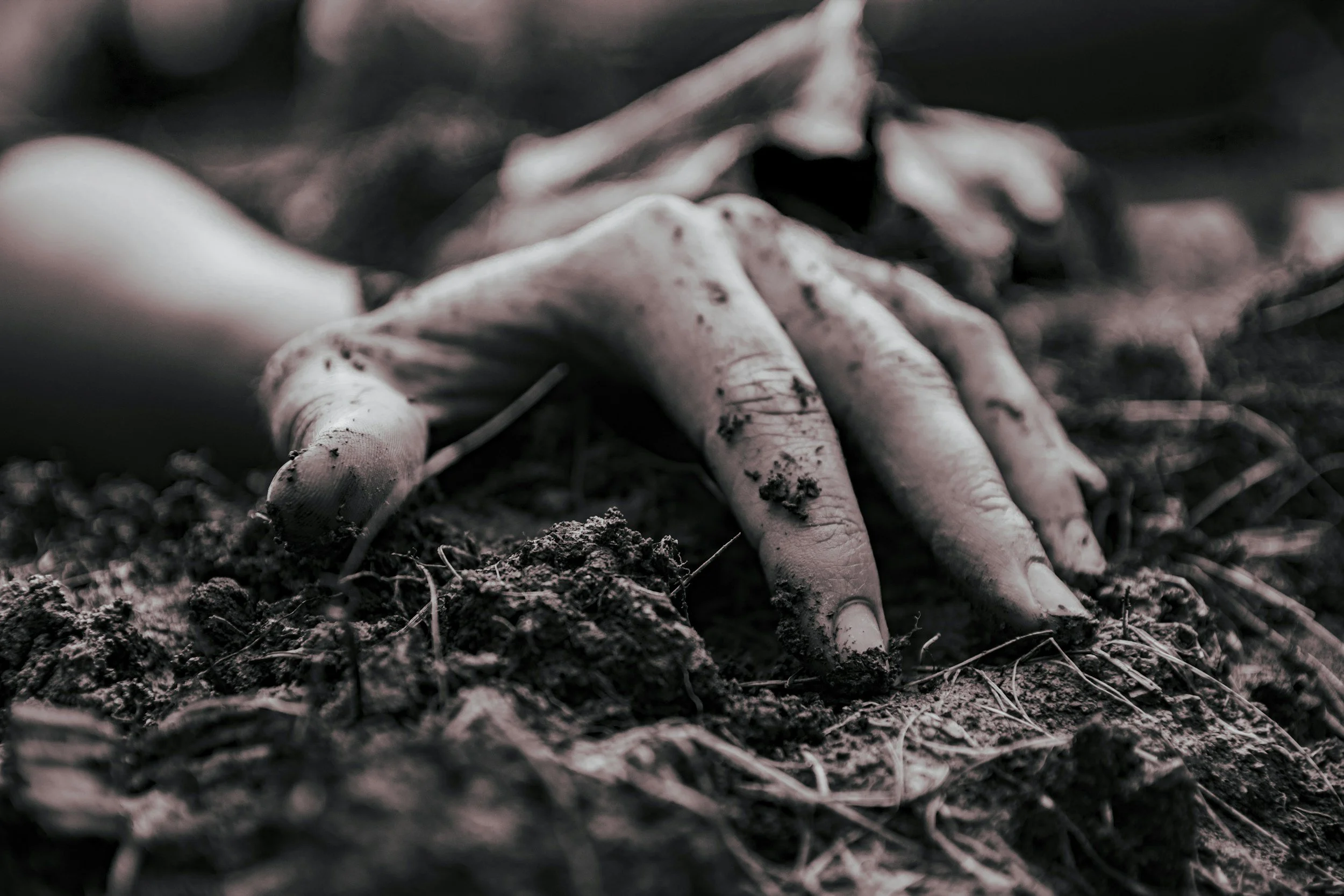 Gardening Day