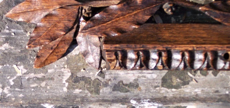Design_Ramiro Guarderas_Restoration_9.jpg